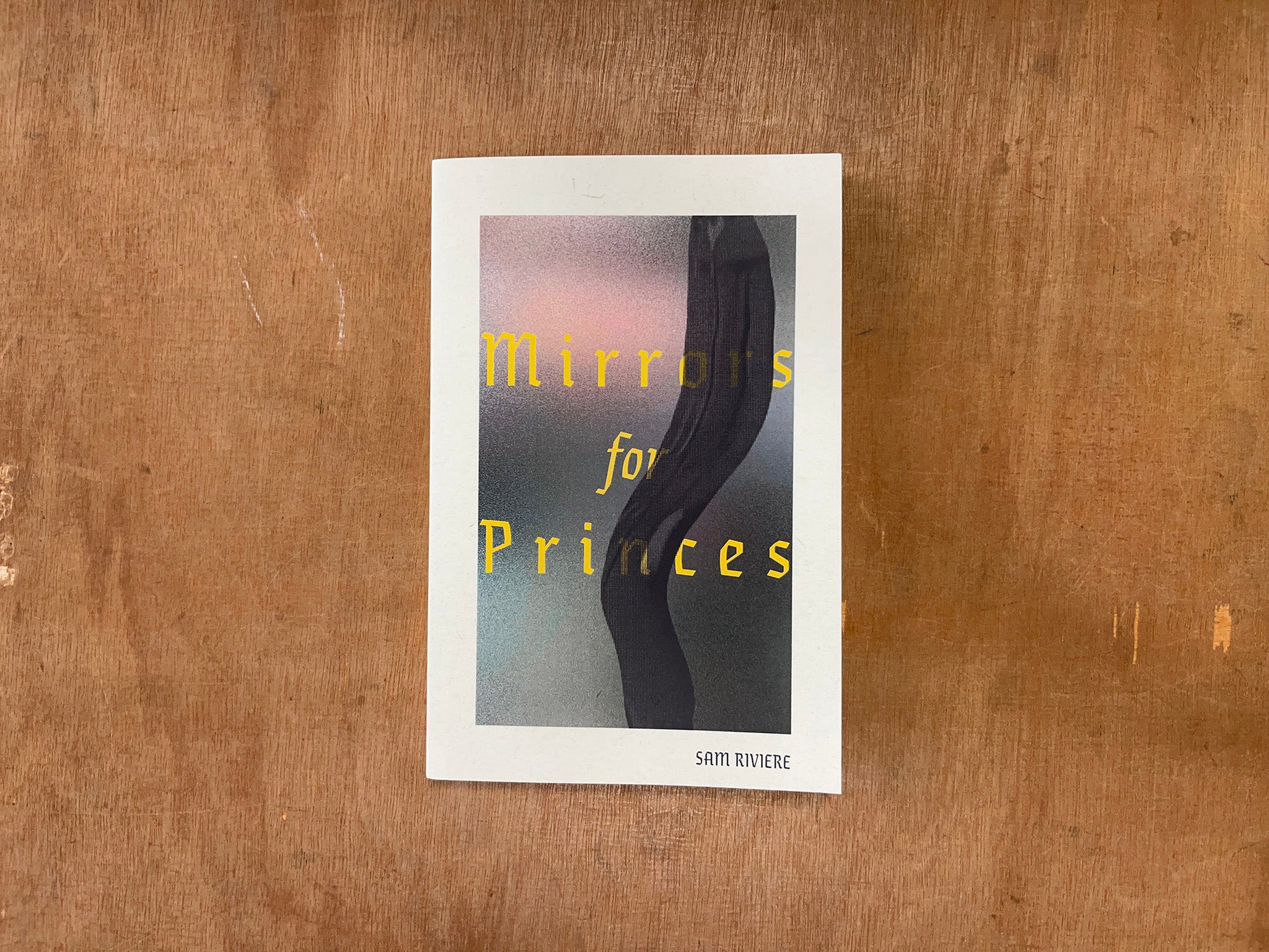 MIRRORS FOR PRINCES by Sam Riviere