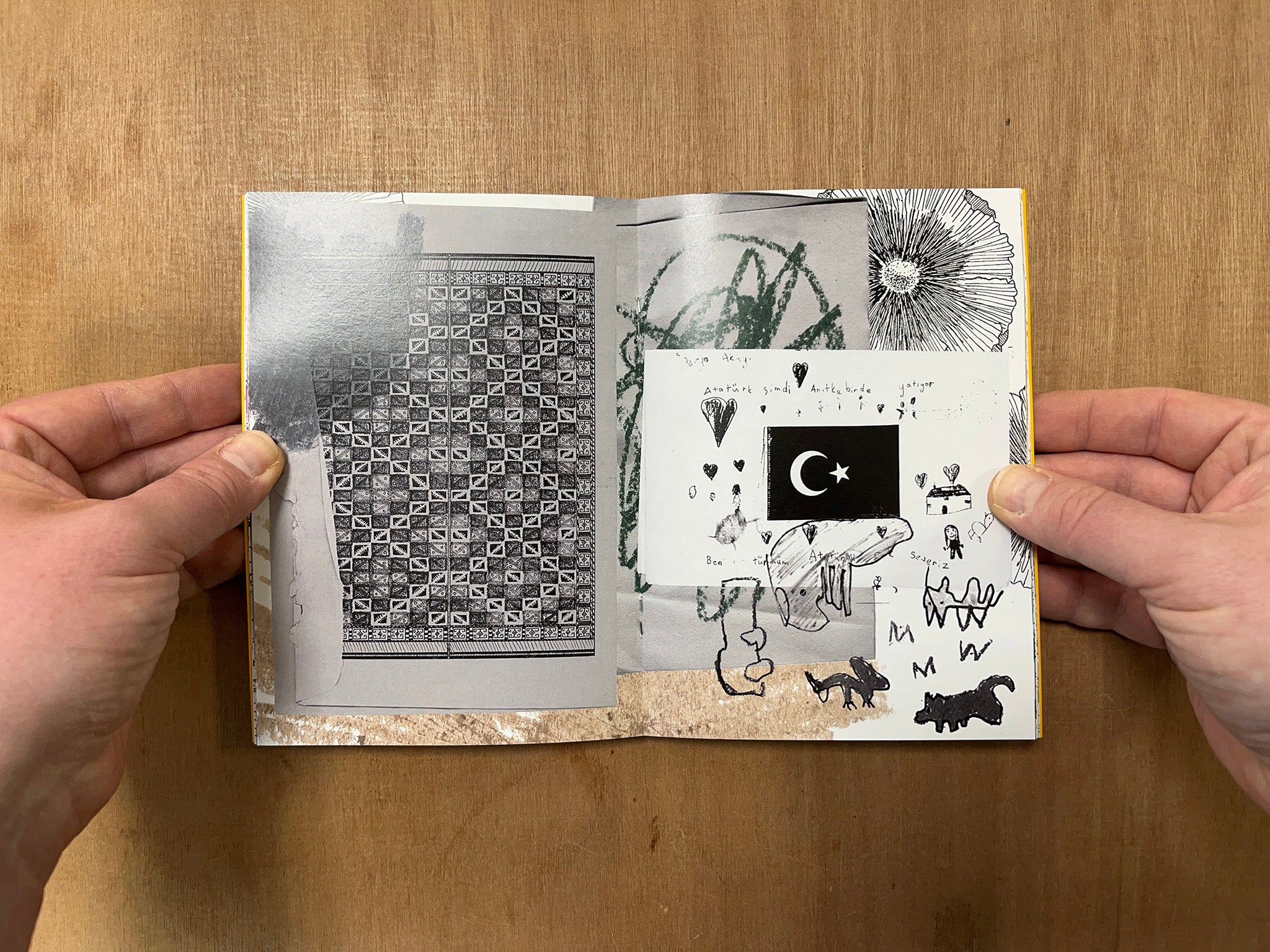 SEEDS FOR A STORY by Derya Akay