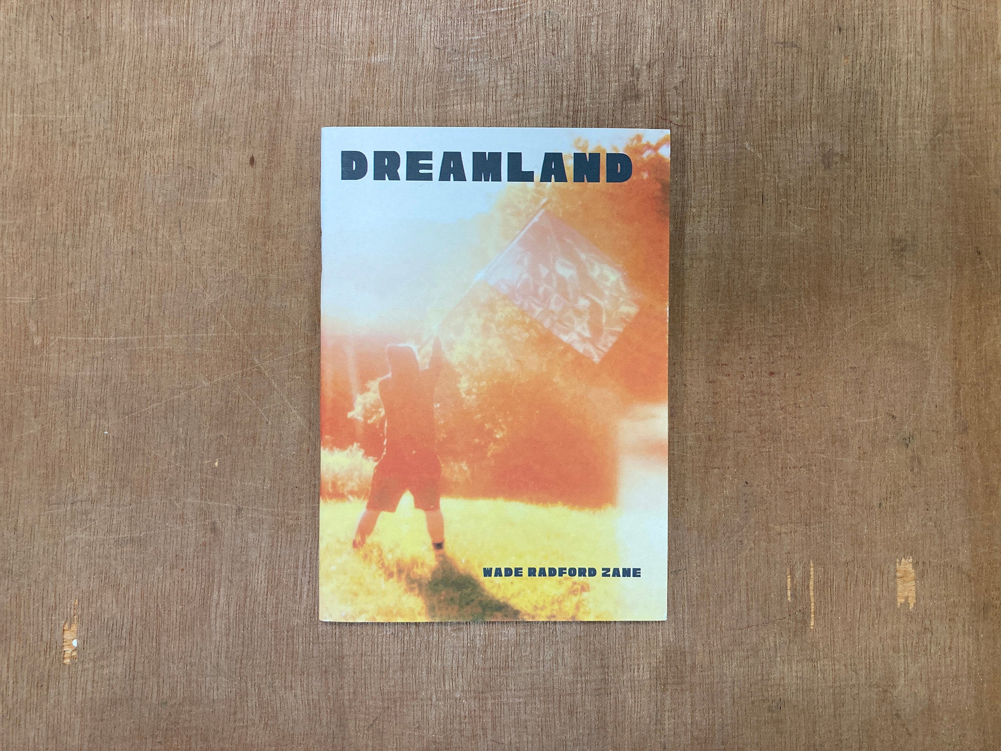 DREAMLAND: AN ANARCHIST'S ODYSSEY by Wade Radford Zane
