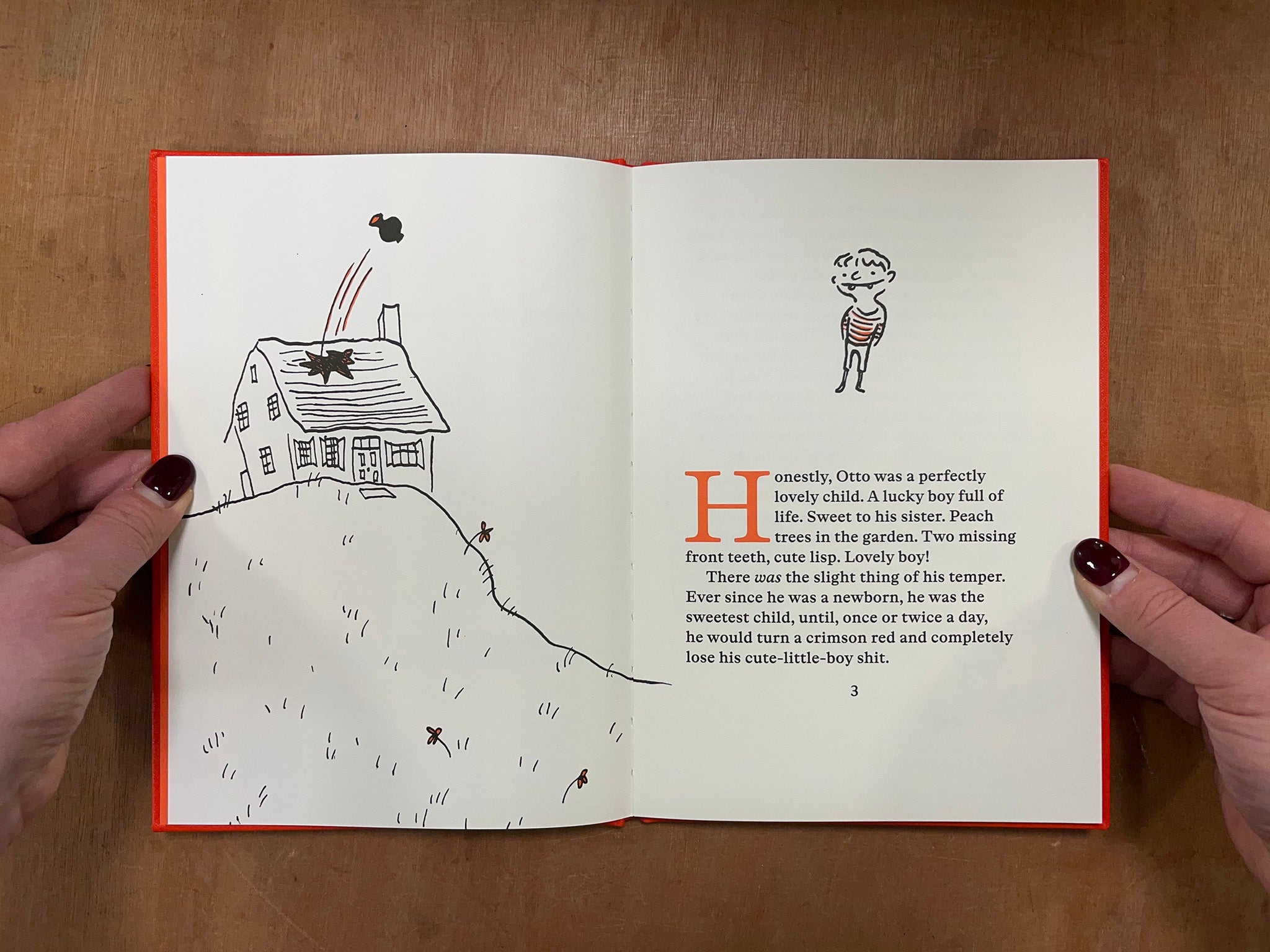 OTTO: A TALE OF A BOY AND A TAIL by Sam de Groot & Hannah Robinson