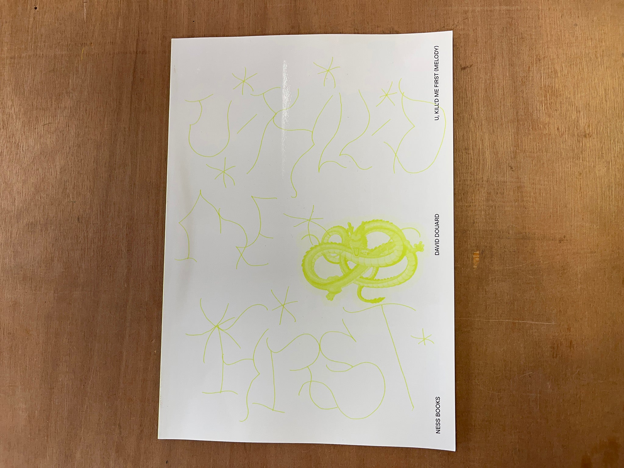 アーティストブック　1000 Artists' Books Artist Books – Good Press — good books & more