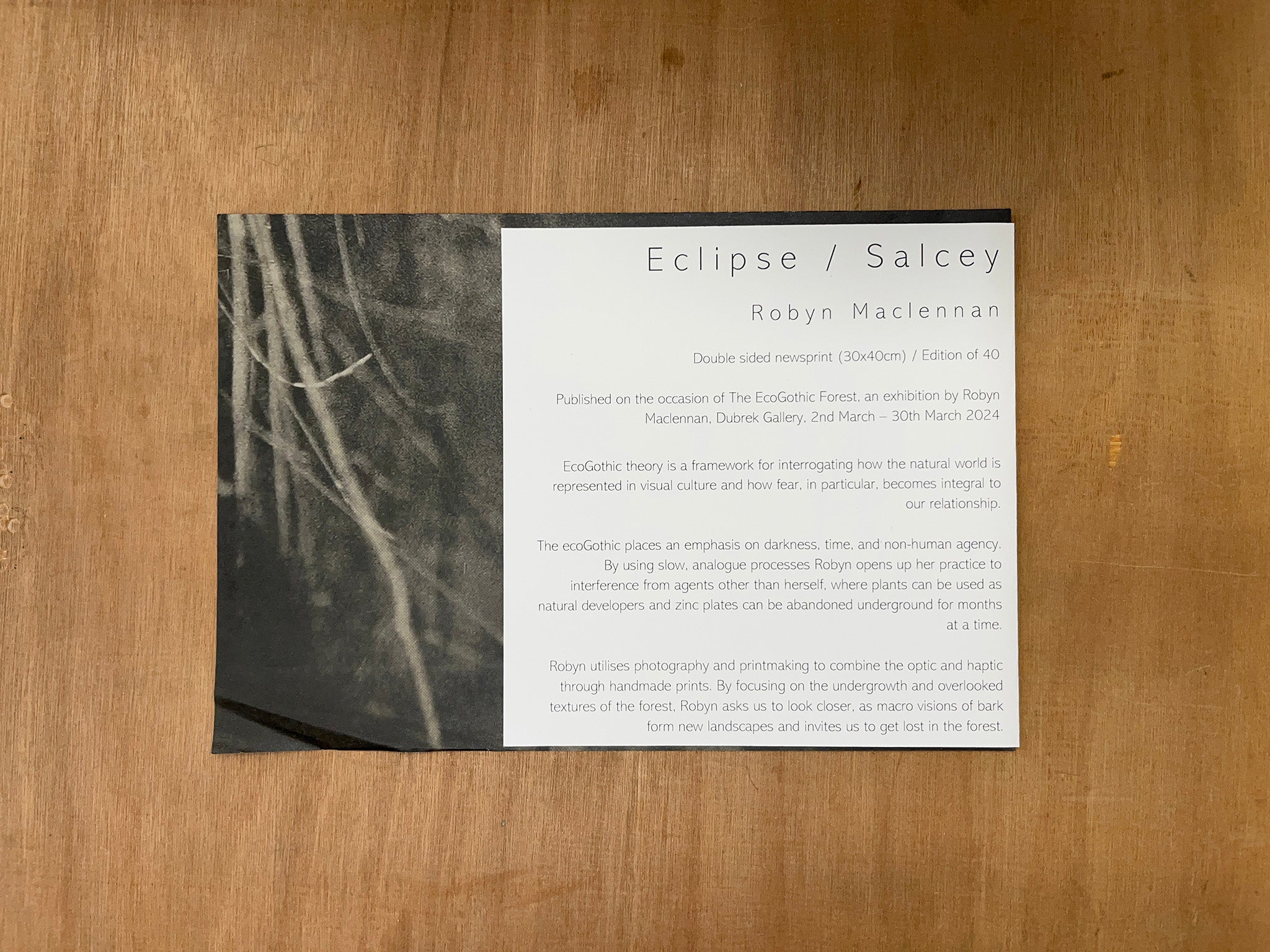 ECLIPSE / SALCEY by Robyn Maclennan