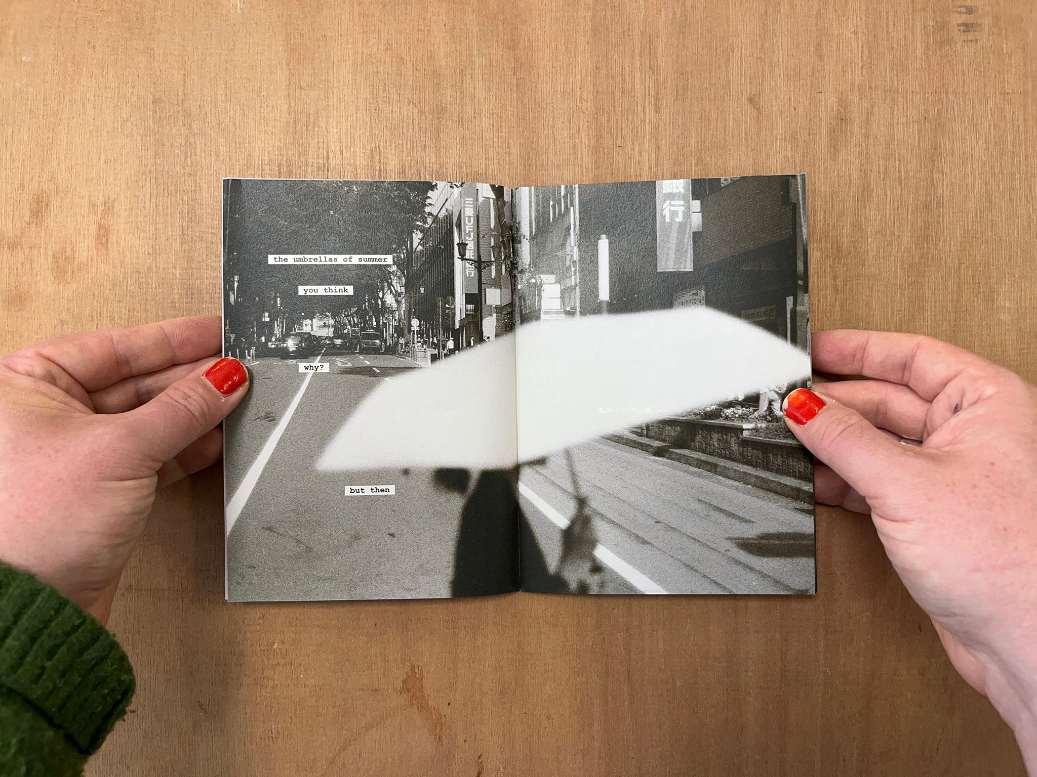 NICE WORDS IN NICE PLACES by Laura Avivar Valderas & Josh Wilson
