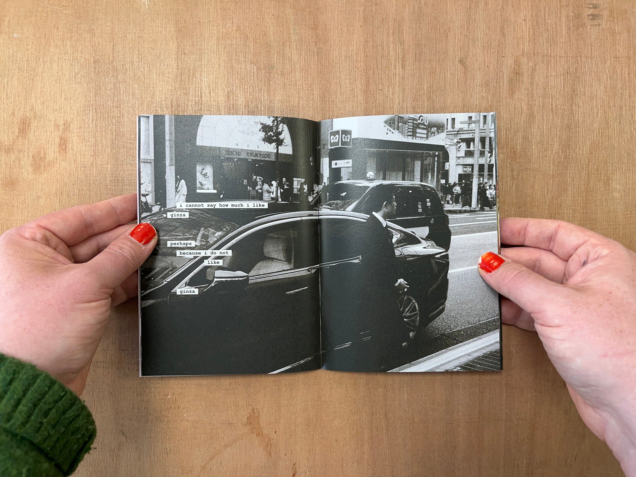 NICE WORDS IN NICE PLACES by Laura Avivar Valderas & Josh Wilson