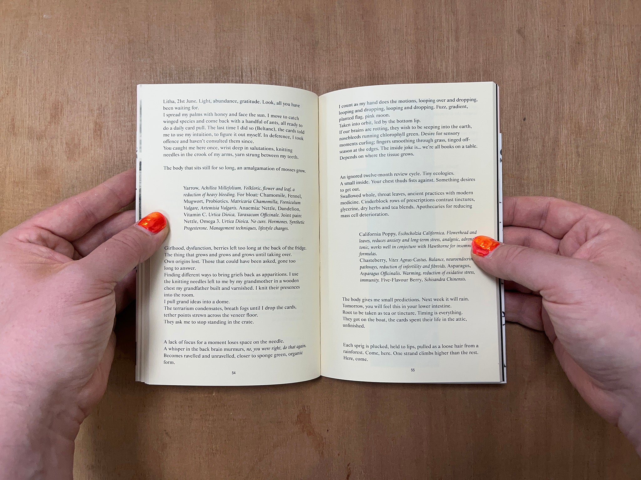 THE YELLOW PAPER EDITION 6