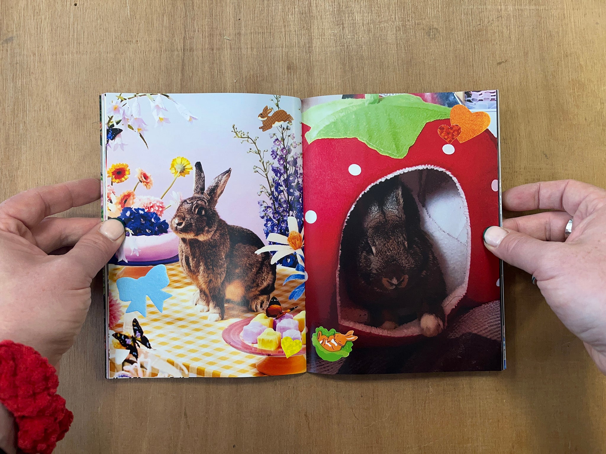 Netizen Amazon Collection NETIZEN VAULT: PET EDITION by Netizen Vault – Good Press — good books ...