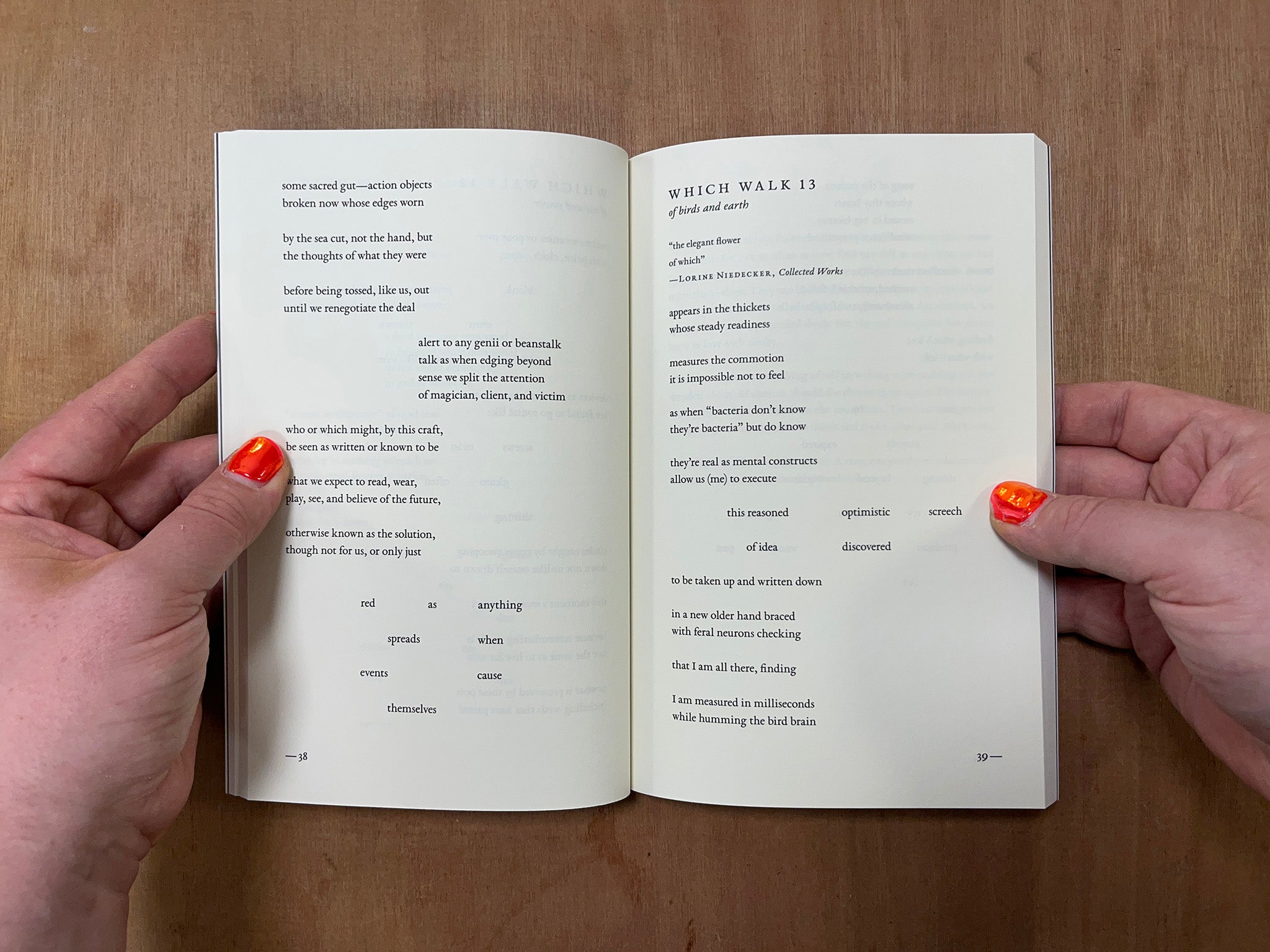 WHICH WALKS by Laura Moriarty