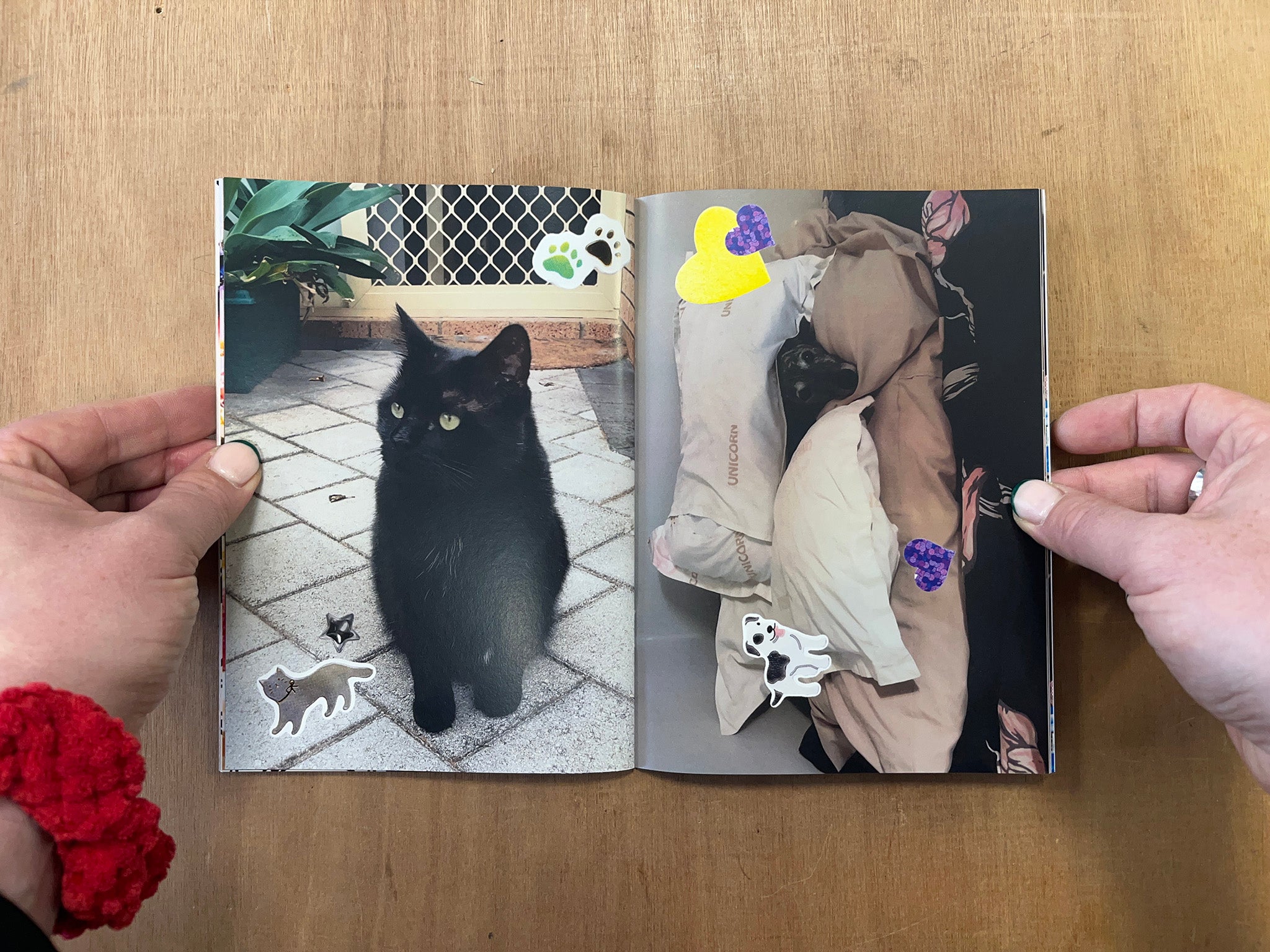Netizen Amazon Collection NETIZEN VAULT: PET EDITION by Netizen Vault – Good Press — good books ...