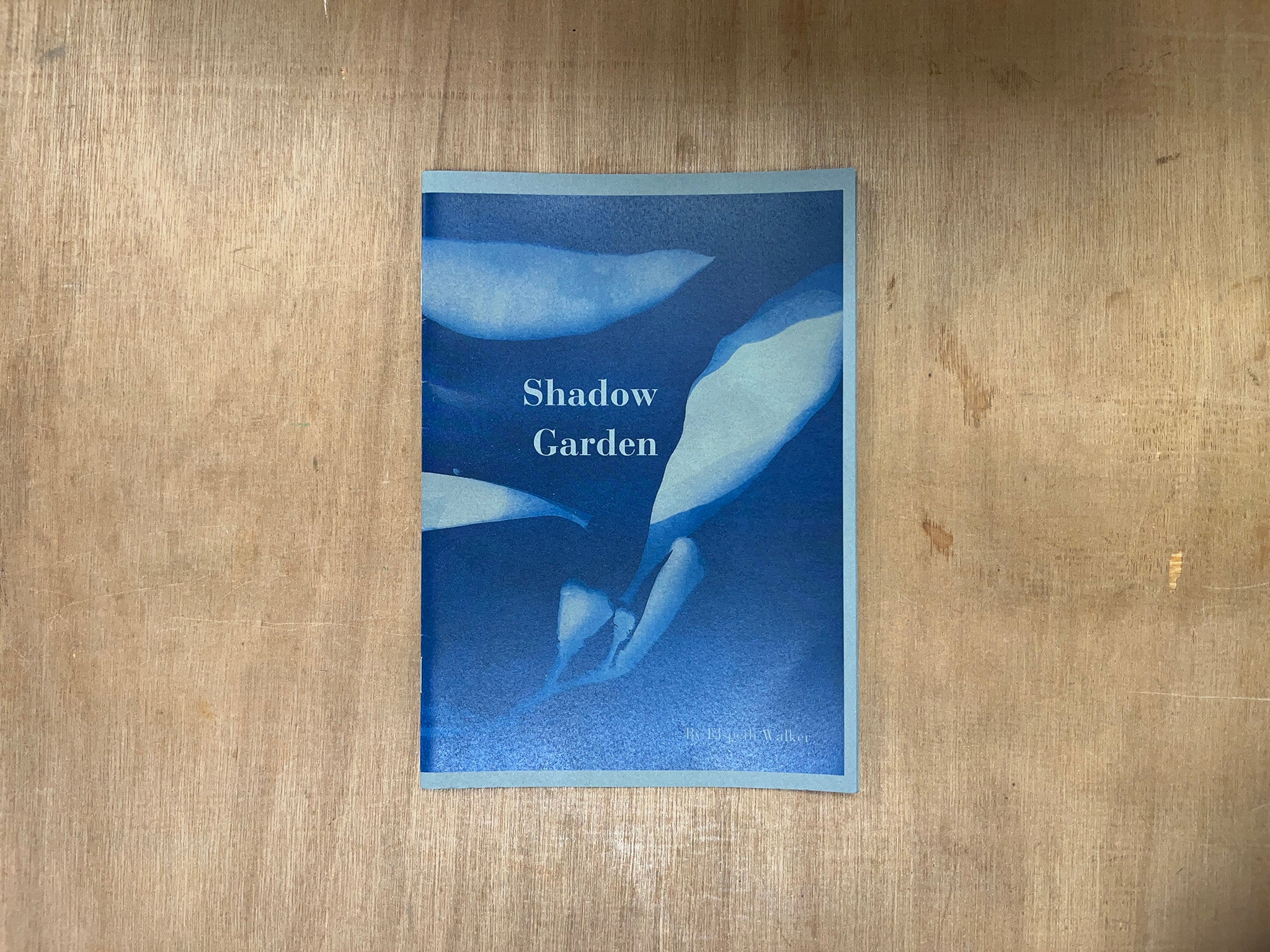 SHADOW GARDEN by Elspeth Walker