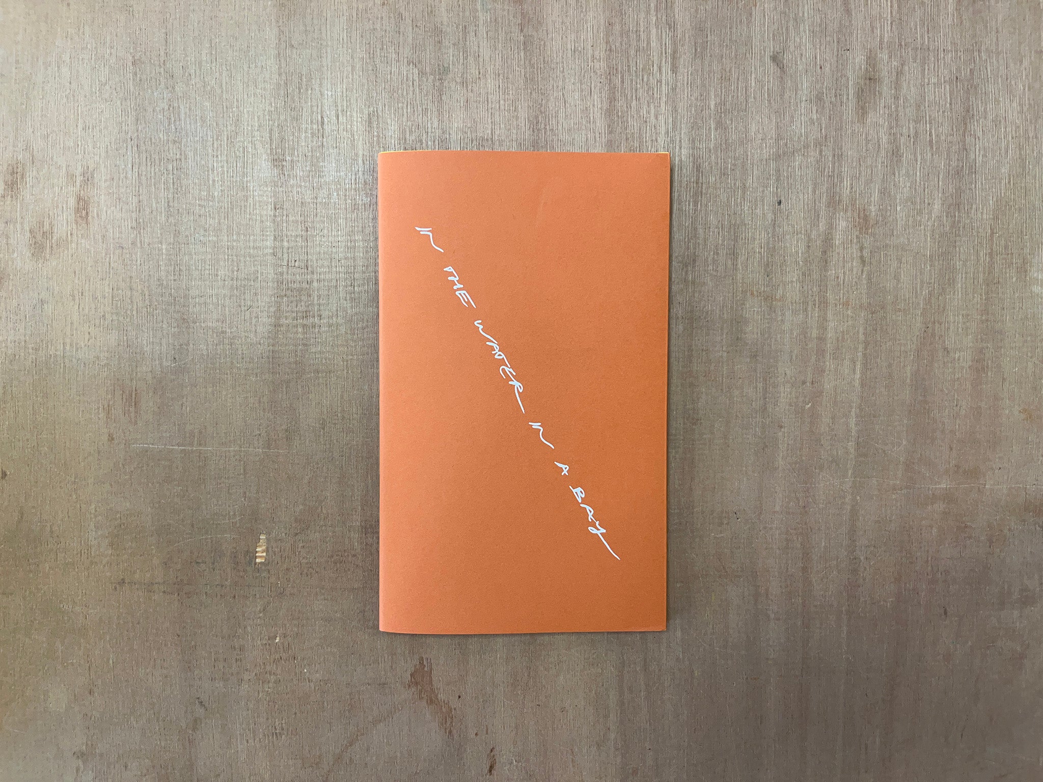 IN THE WATER IN A BAY by Caitlin Merrett King and David Roeder