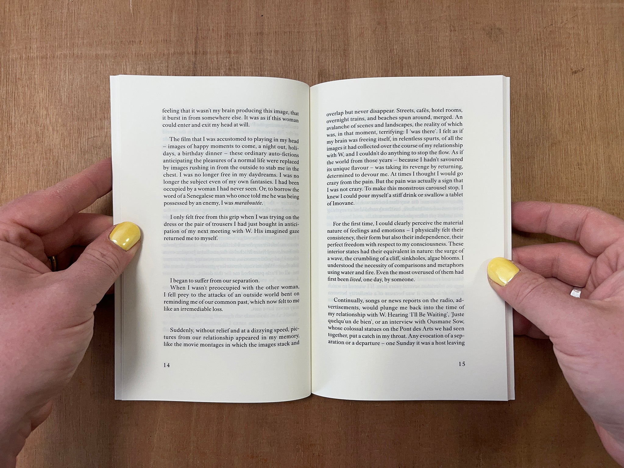 THE POSSESSION by Annie Ernaux