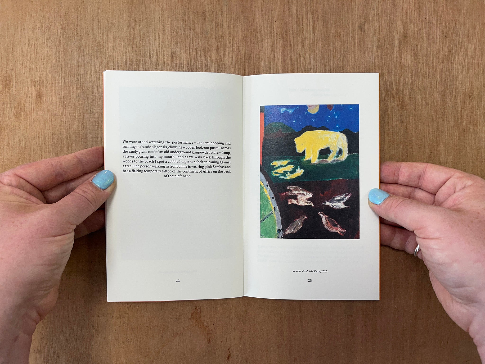 IN THE WATER IN A BAY by Caitlin Merrett King and David Roeder