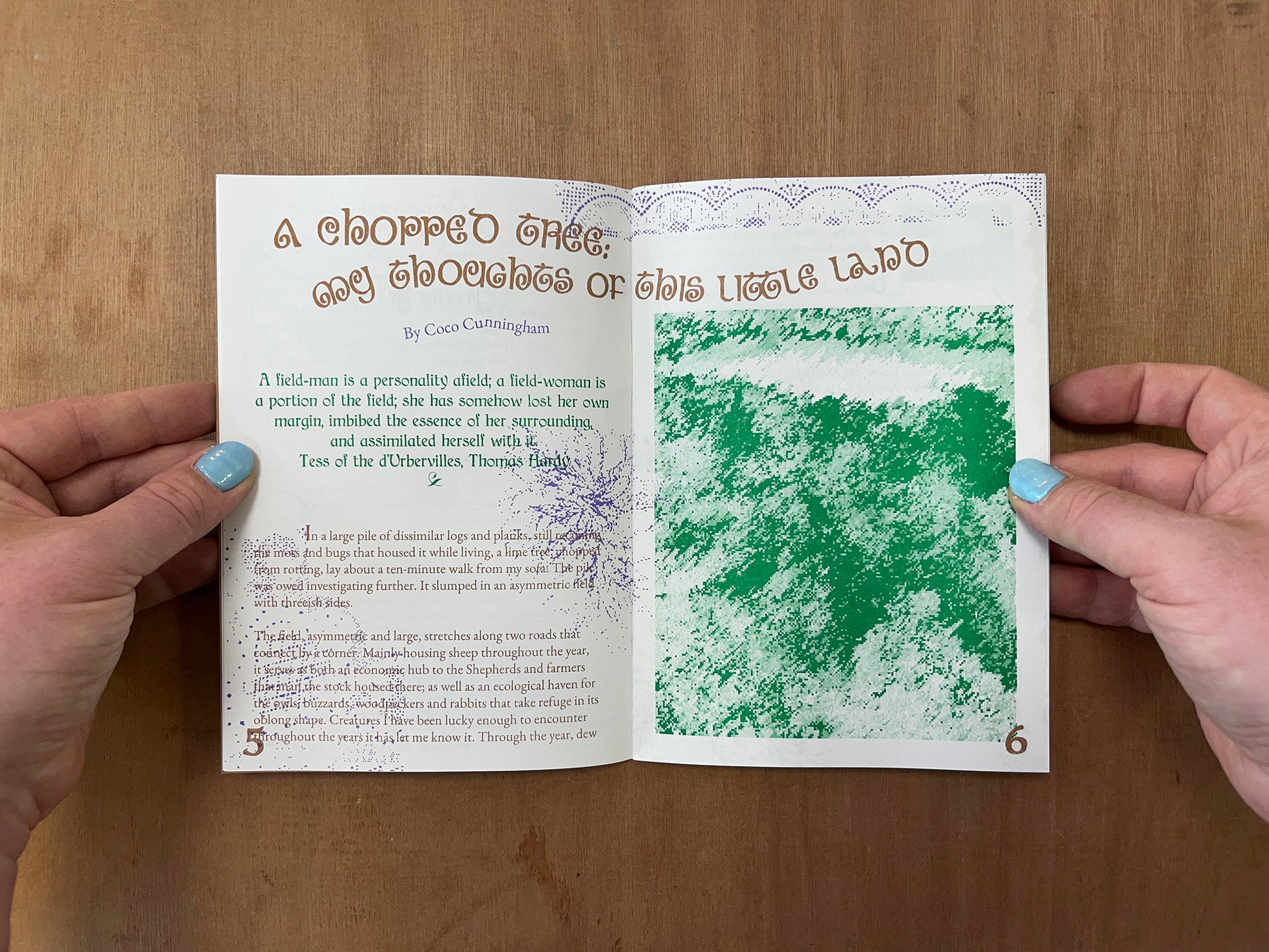 RAMBLING #1: FIELD RECORDINGS by Coco Cunningham