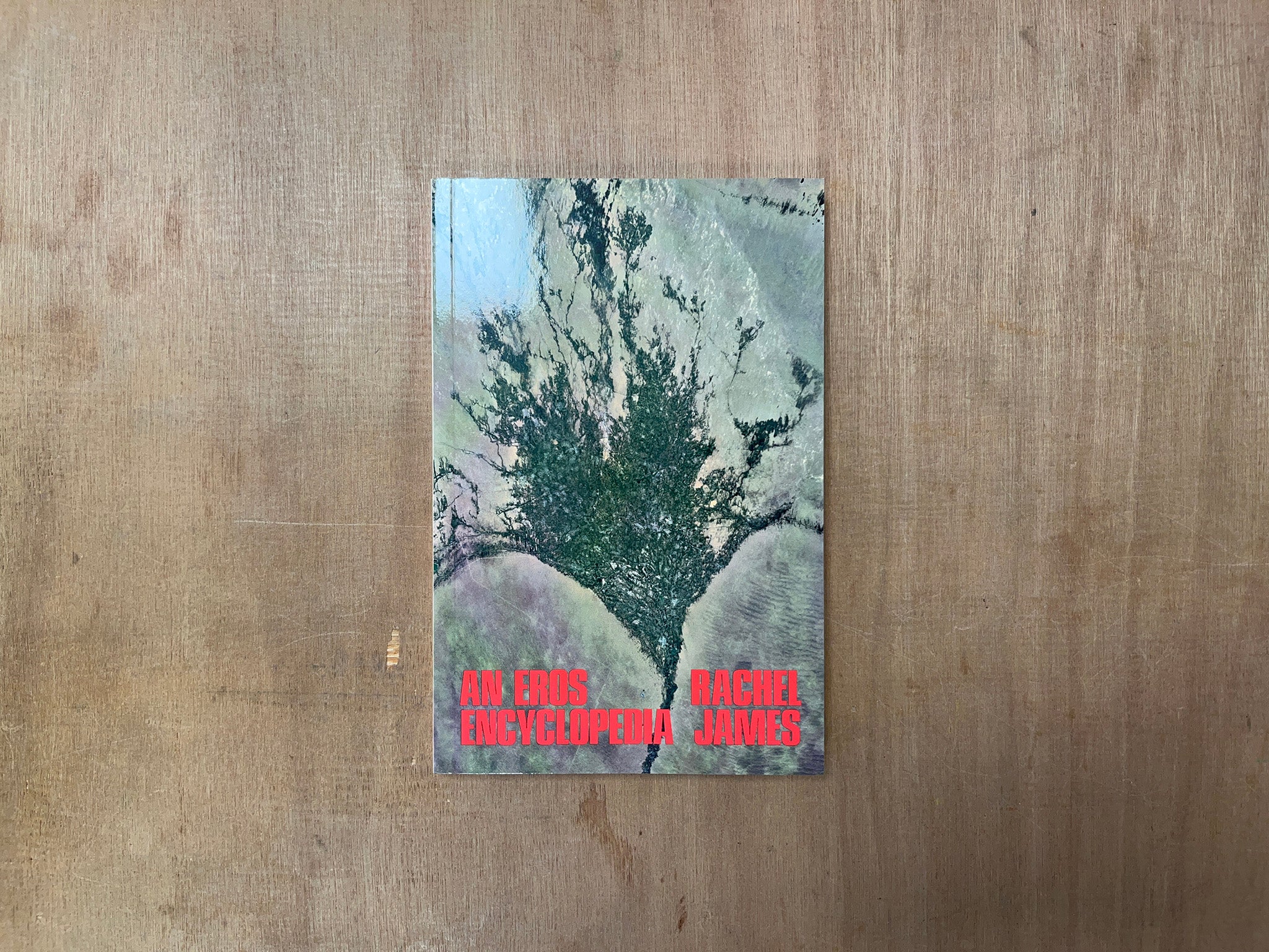 AN EROS ENCYCLOPEDIA by Rachel James