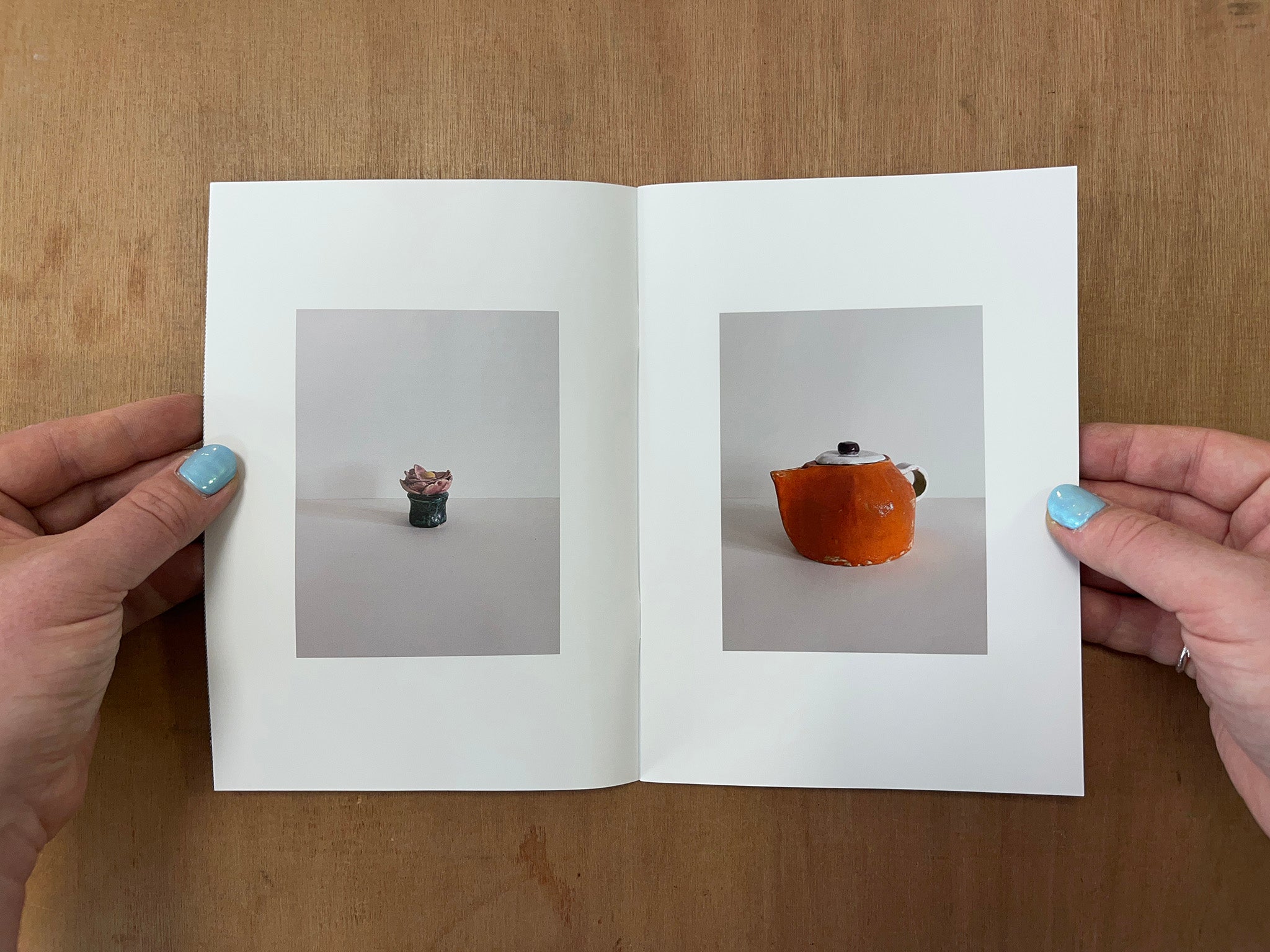 CERAMICS FOR F by David Roeder