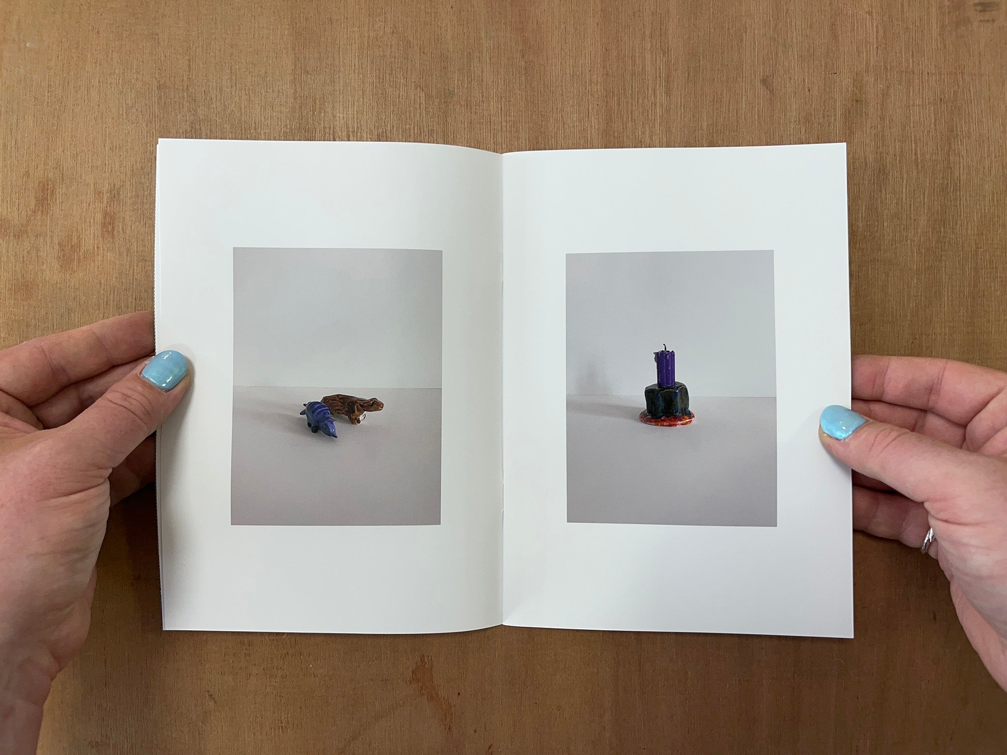 CERAMICS FOR F by David Roeder