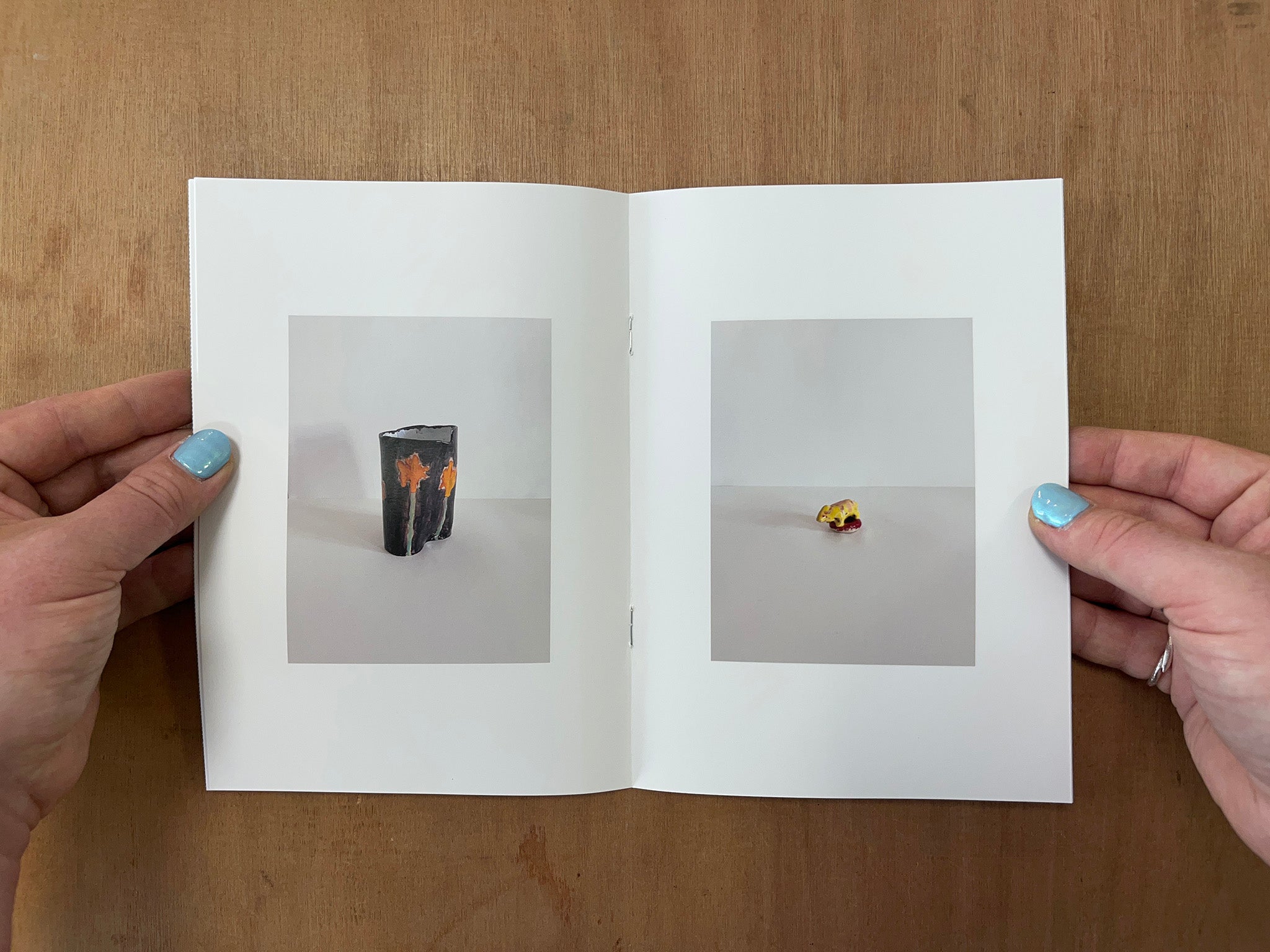 CERAMICS FOR F by David Roeder