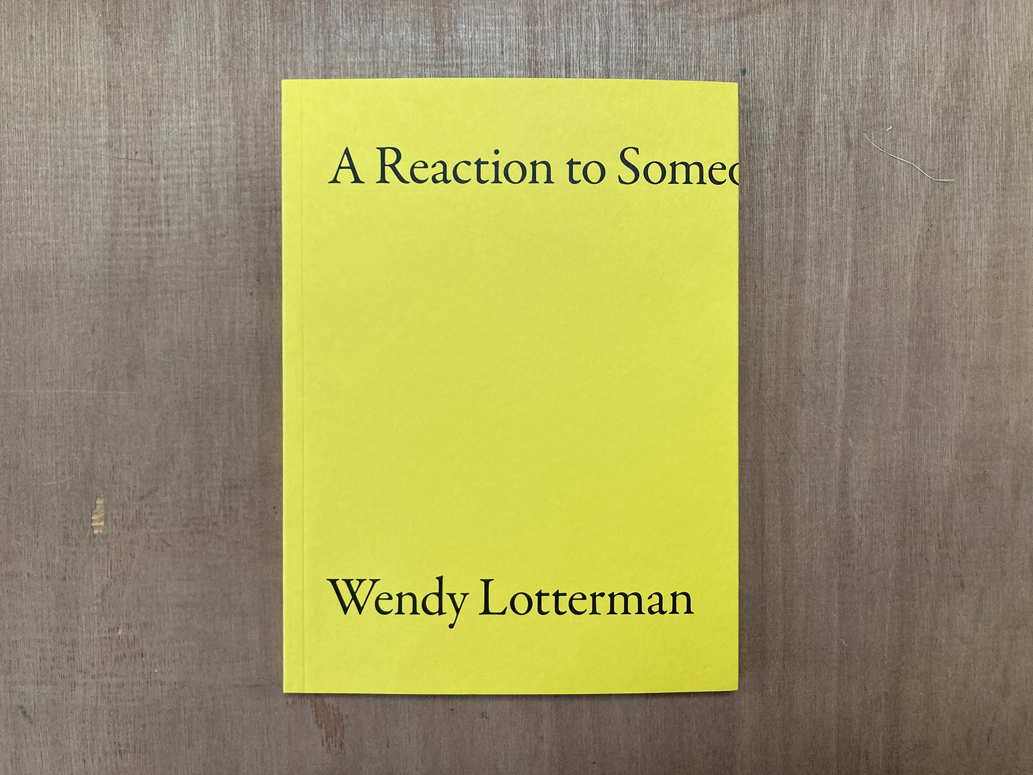 A REACTION TO SOMEONE COMING IN by Wendy Lotterman