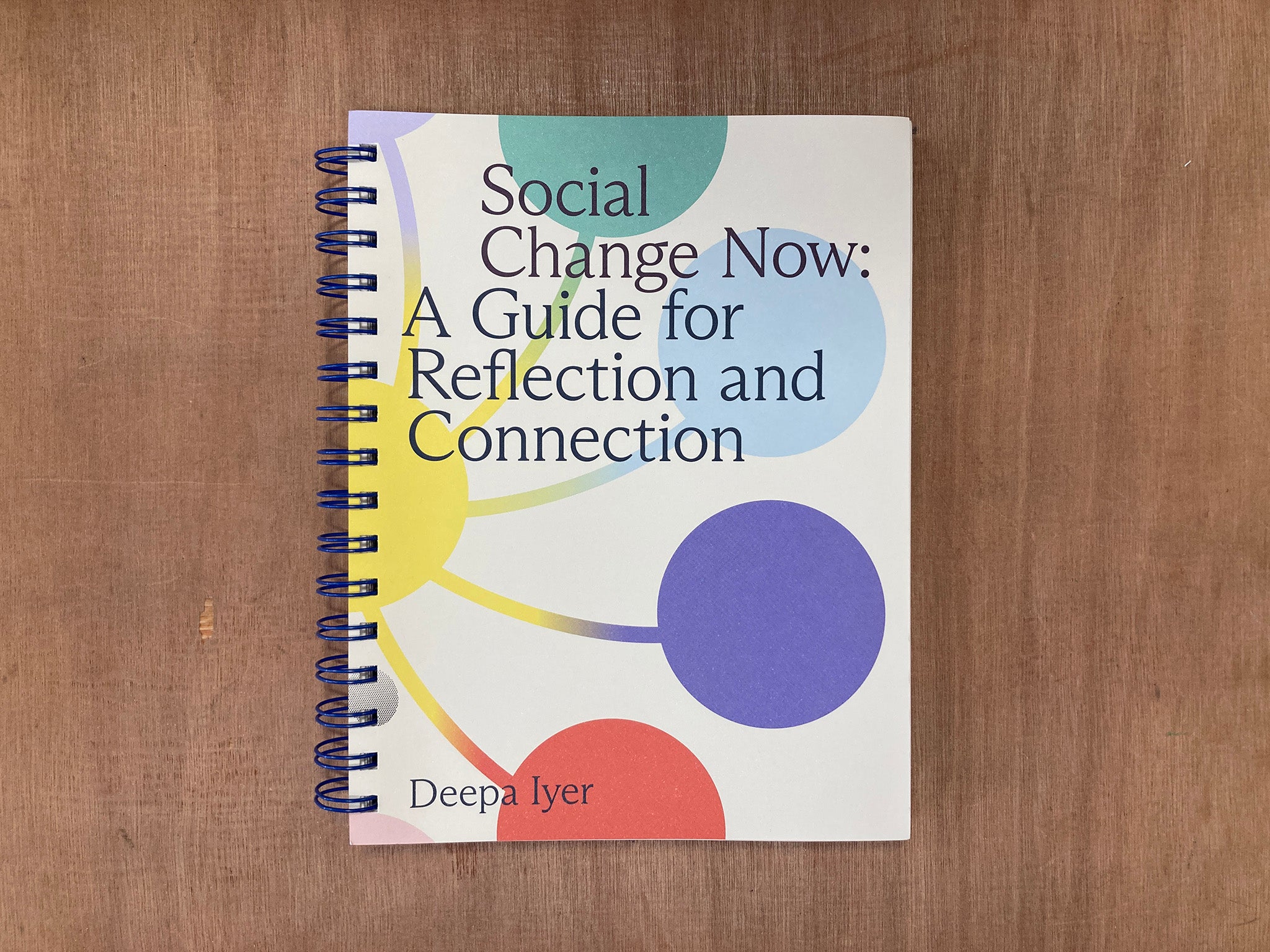 SOCIAL CHANGE NOW: A GUIDE FOR REFLECTION AND CONNECTION by Deepa Iyer