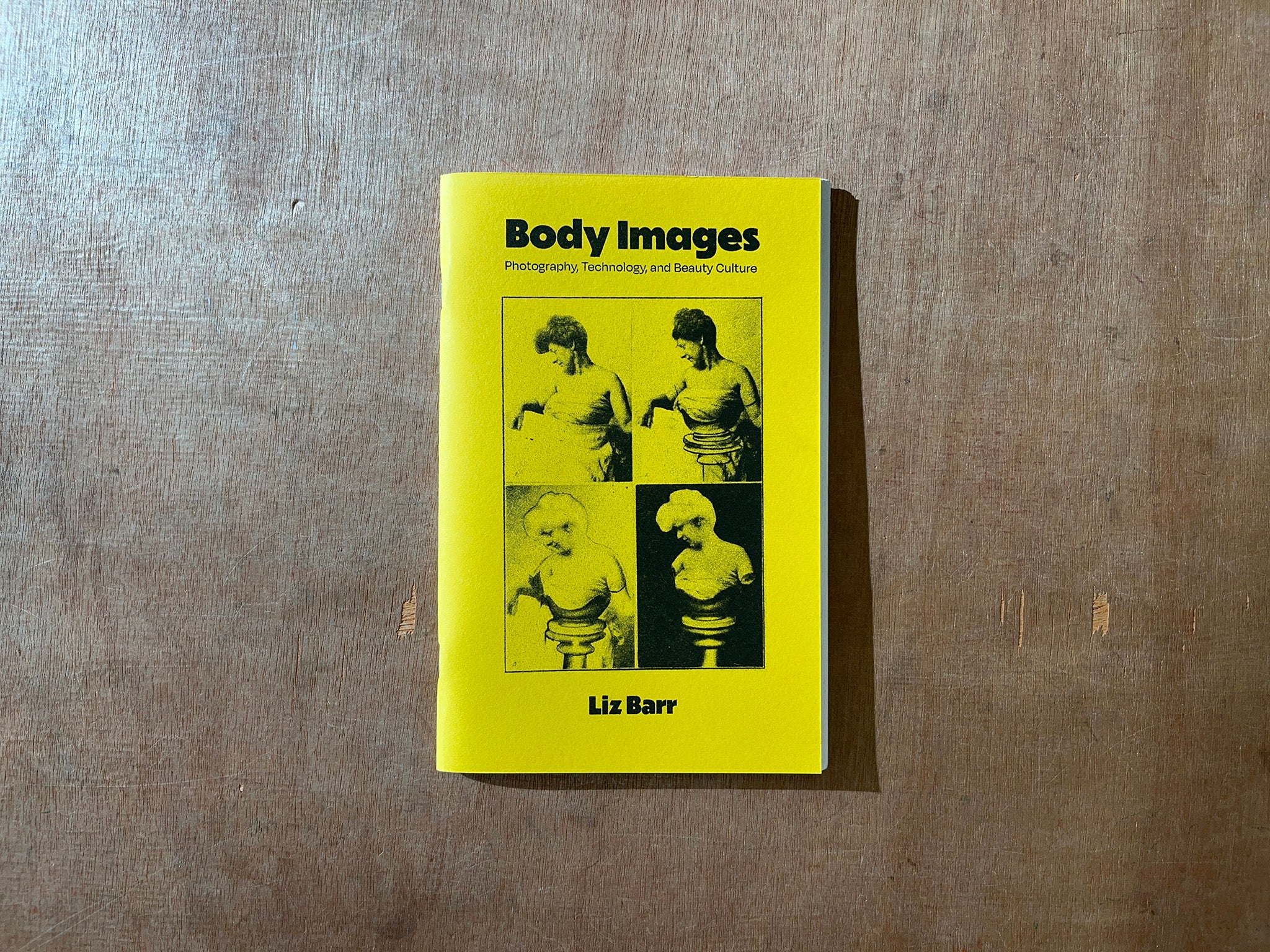 BODY IMAGES: PHOTOGRAPHY, TECHNOLOGY, AND BEAUTY CULTURE by Liz Barr