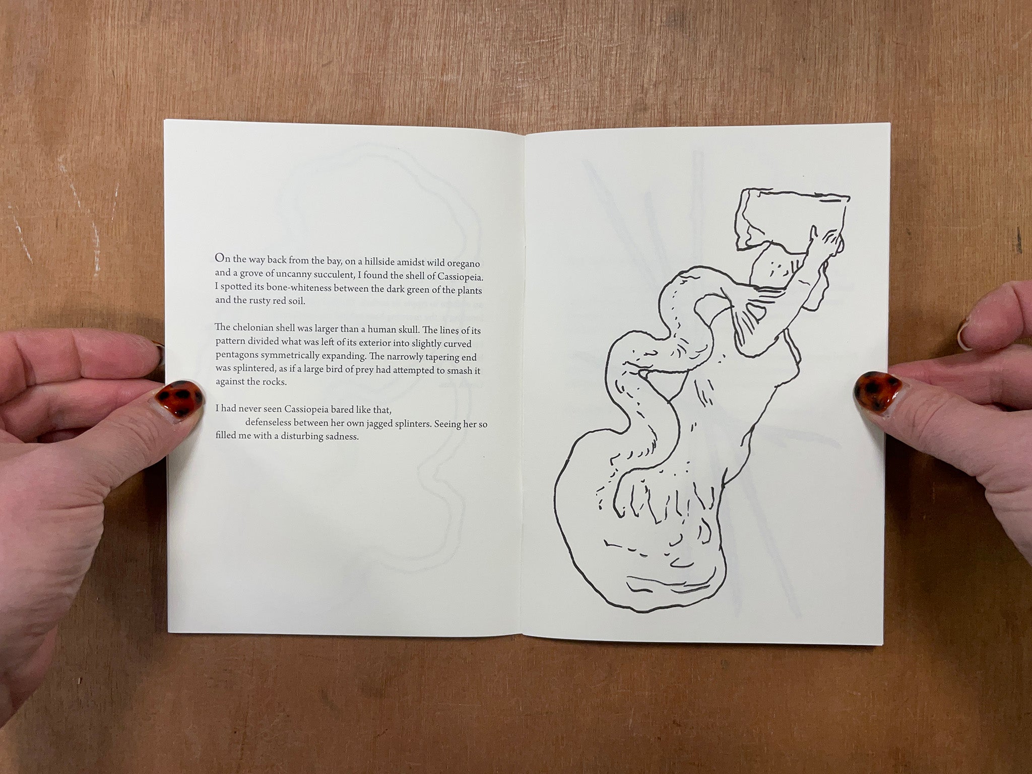 CRACKED SHELLS by Dimitra Charamandas – Good Press — good books & more