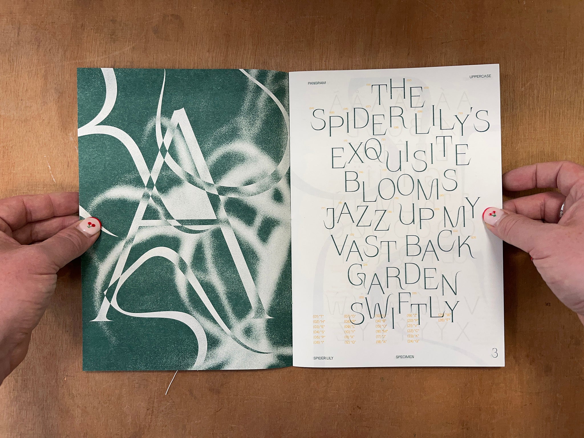 SPIDER LILY TYPE SPECIMEN by Nikos Ho