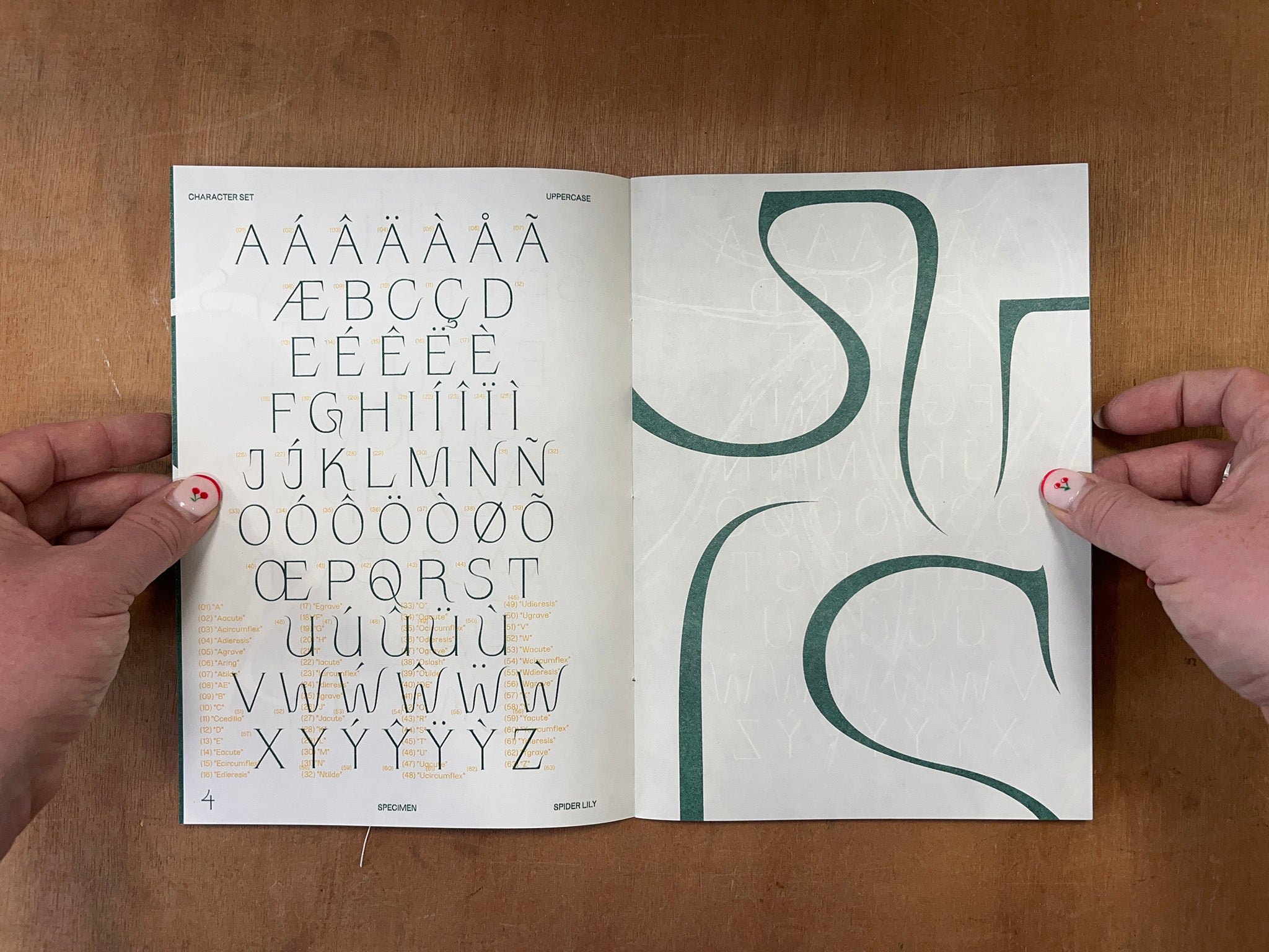 SPIDER LILY TYPE SPECIMEN by Nikos Ho