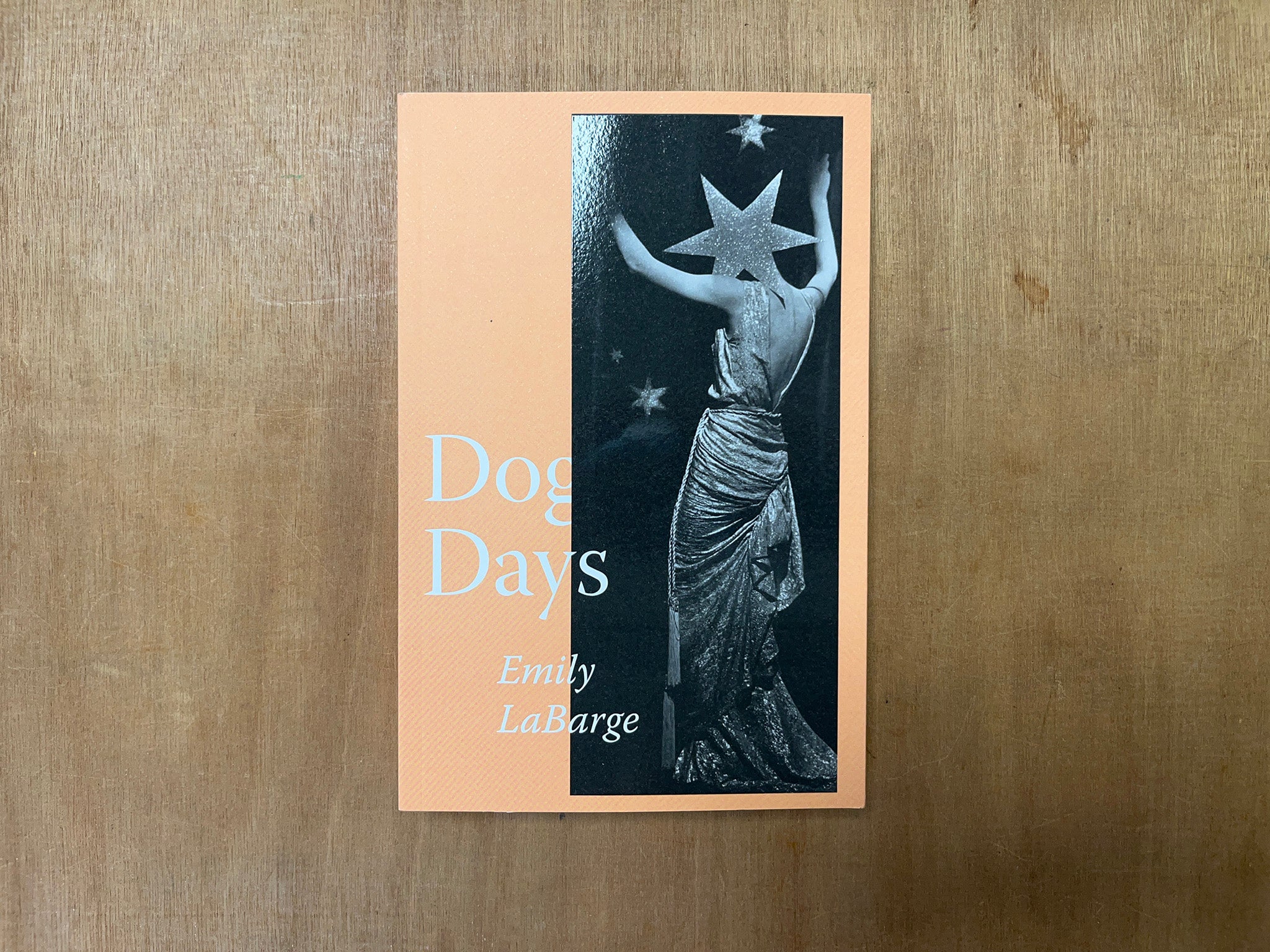 DOG DAYS by Emily LaBarge