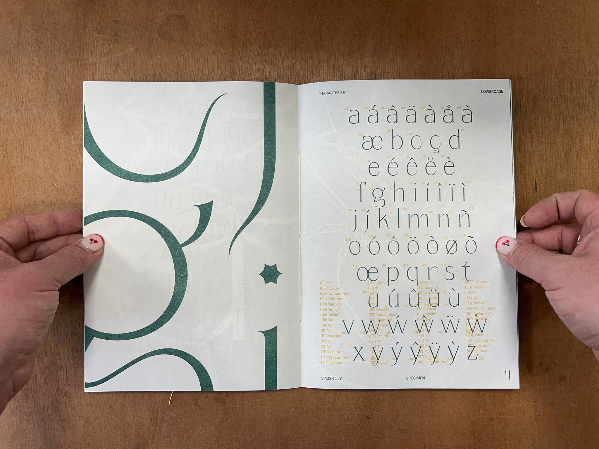 SPIDER LILY TYPE SPECIMEN by Nikos Ho