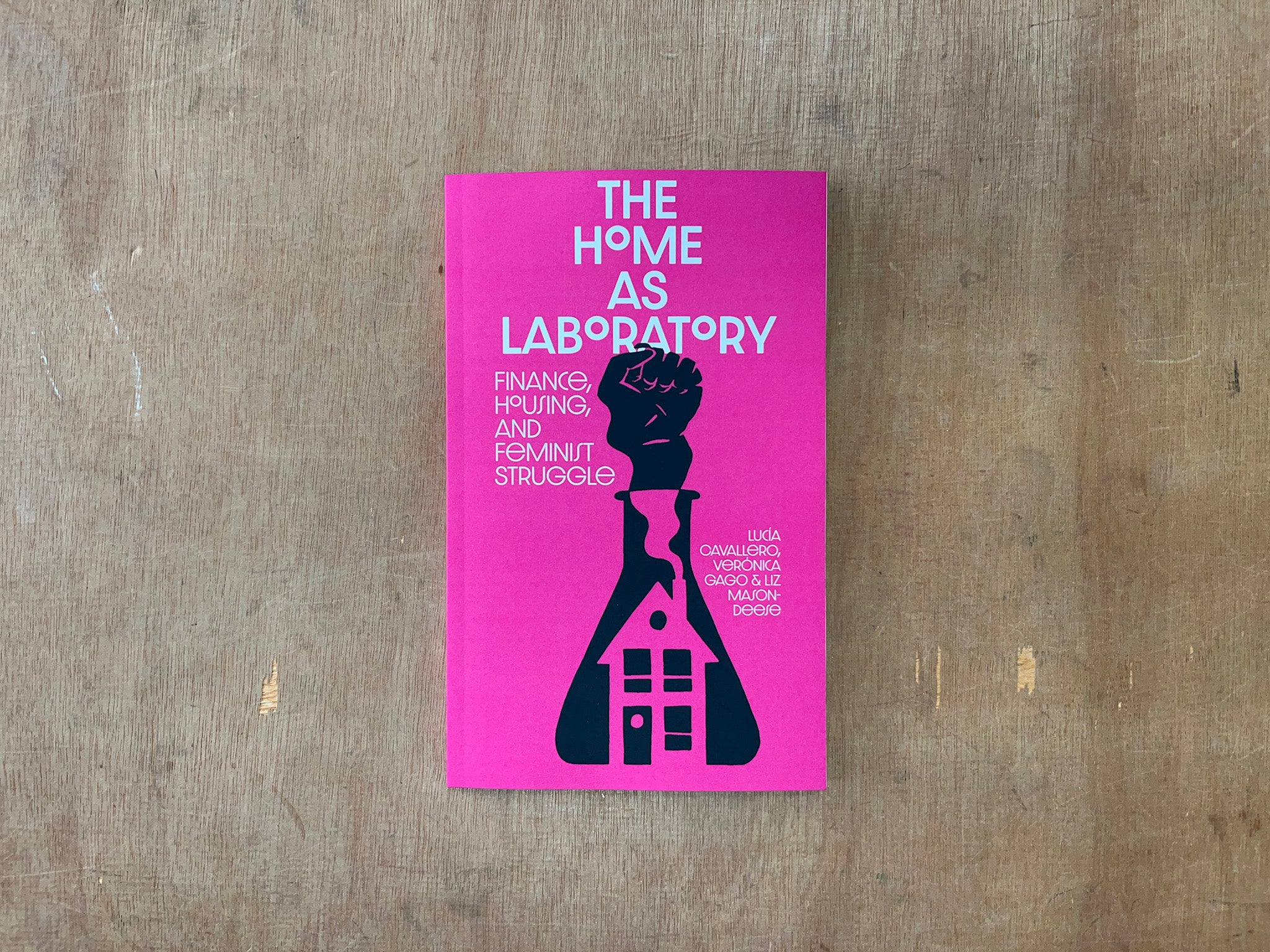 THE HOME AS LABORATORY by Luci Cavallero, Verónica Gago & Liz Mason-Deese