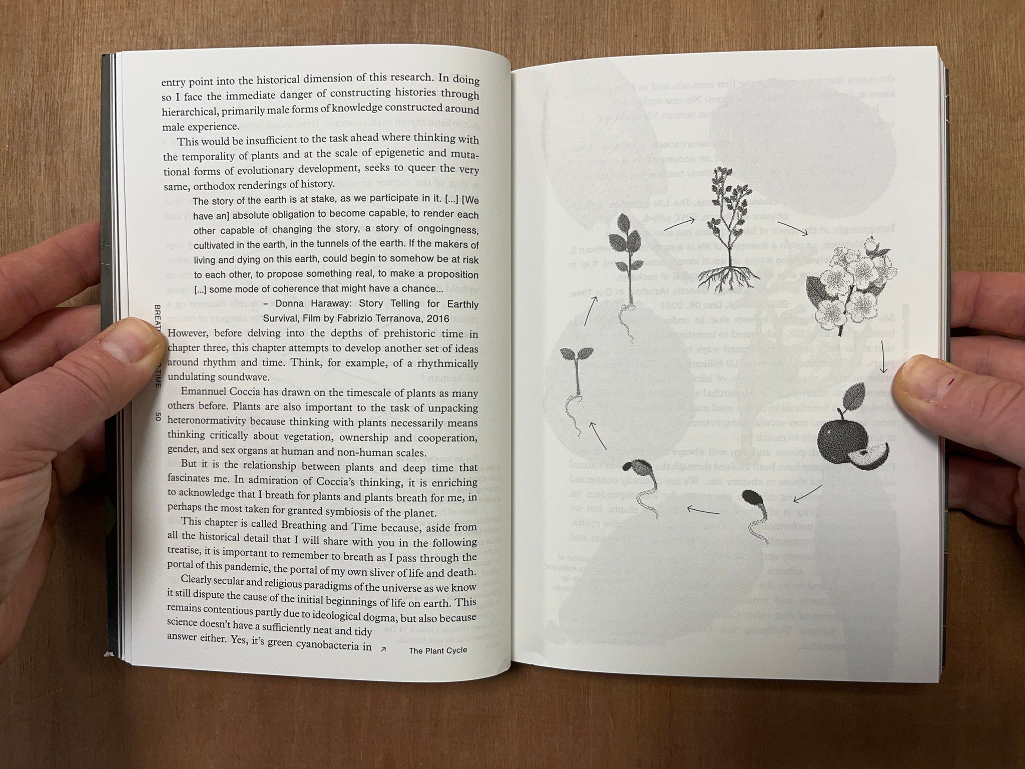 RICOCHET - CULTURAL EPIGENETICS AND THE PHILOSOPHY OF CHANGE by Alex Head