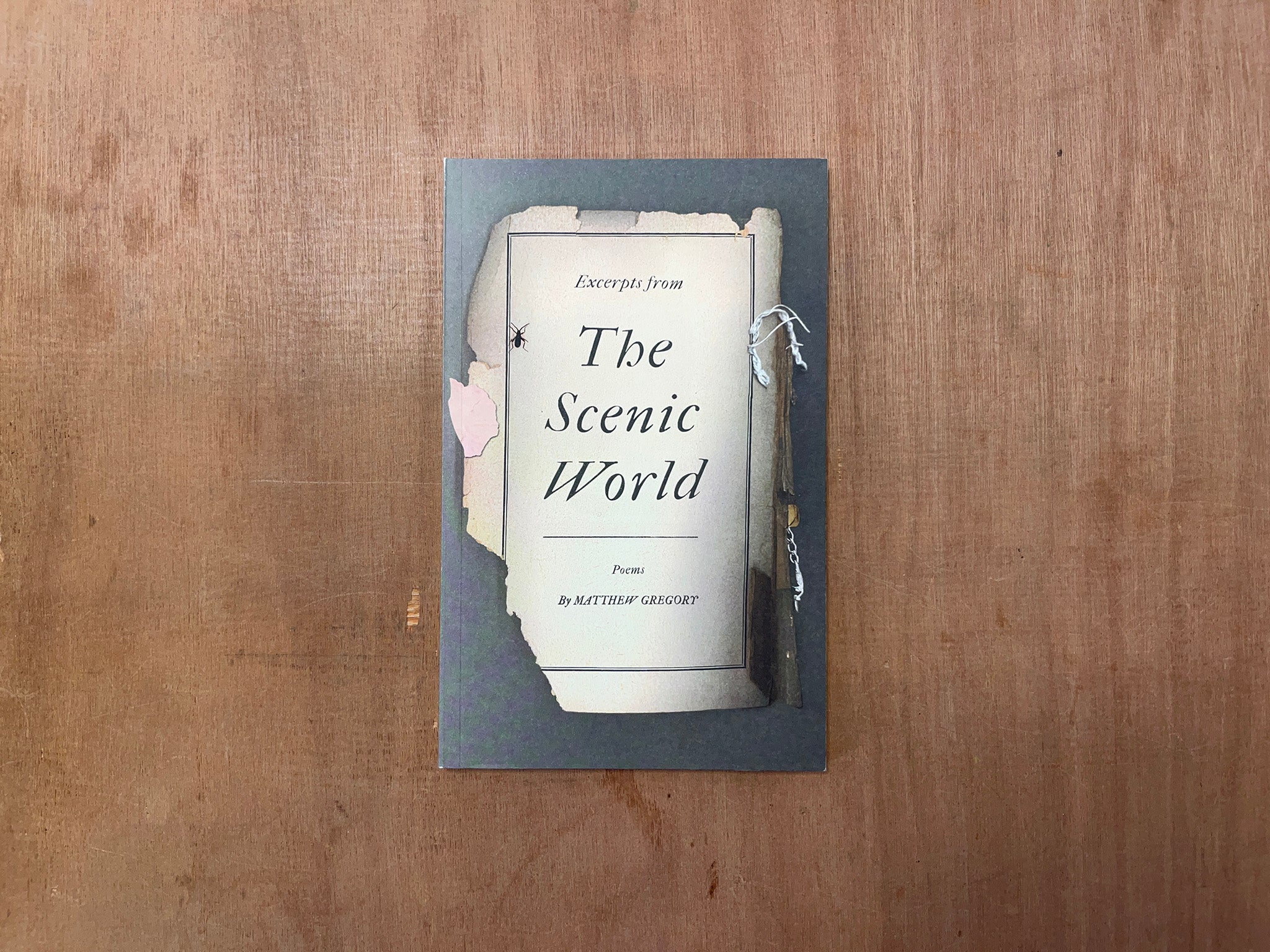 EXCERPTS FROM THE SCENIC WORLD by Matthew Gregory