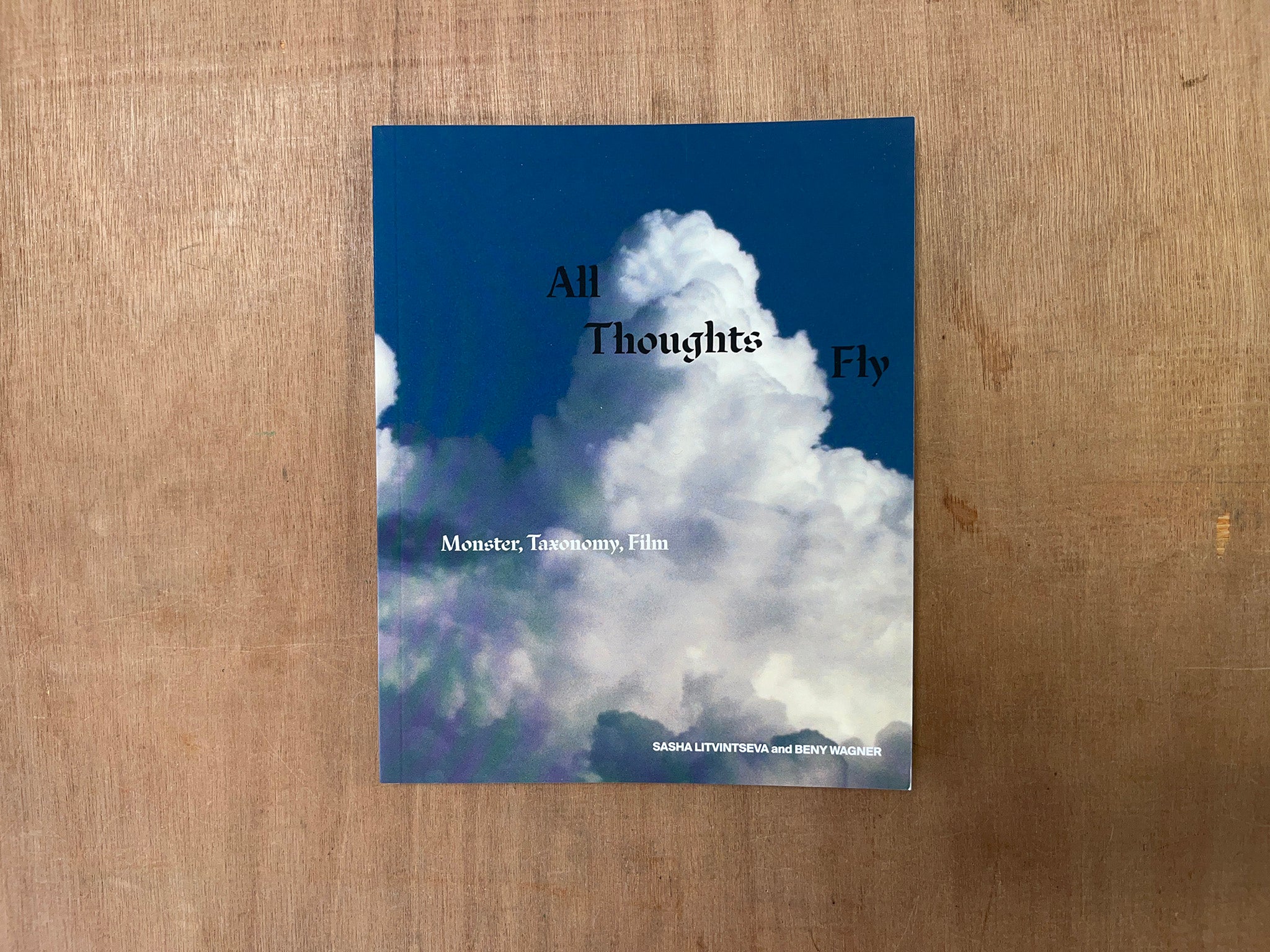 ALL THOUGHTS FLY by Sasha Litvintseva & Beny Wagner