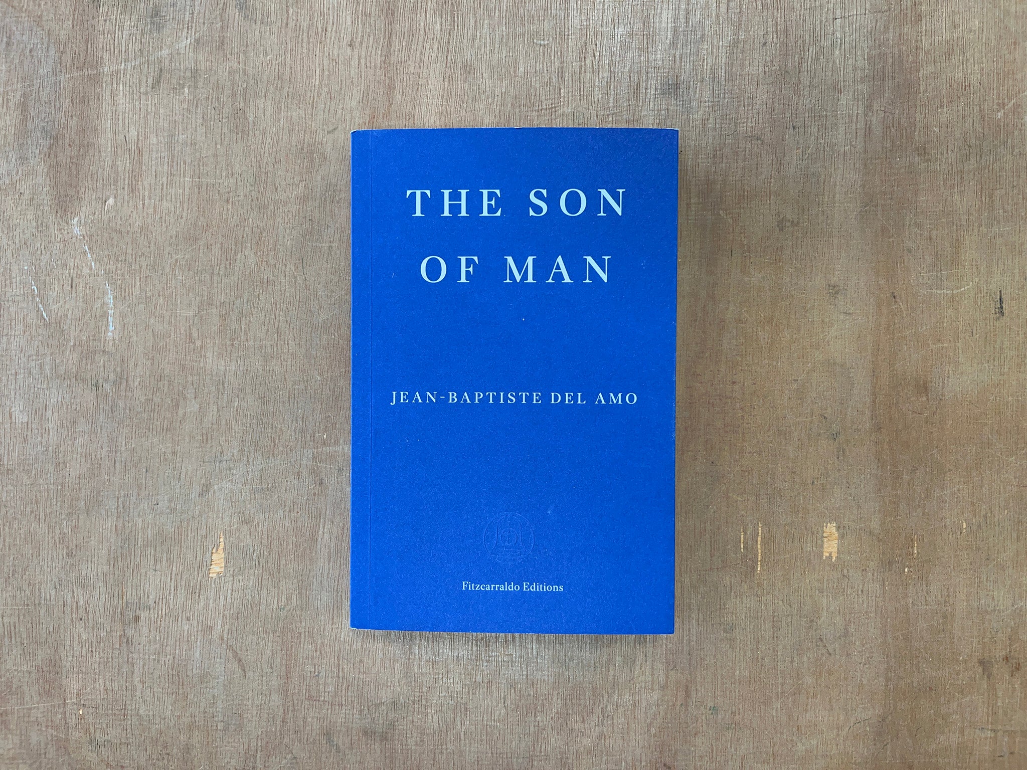 THE SON OF MAN by Jean-Baptiste Del Amo