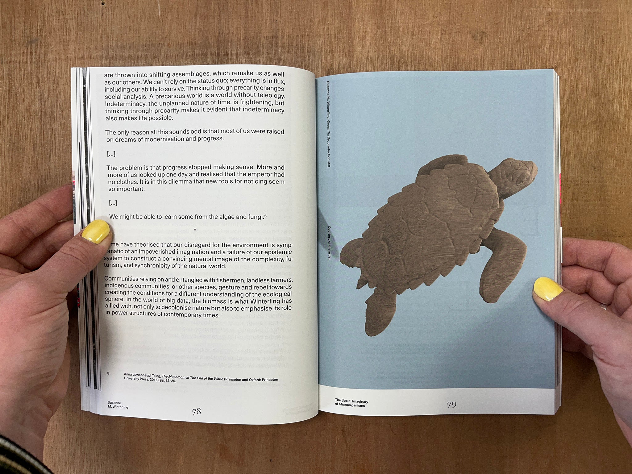 HEREAFTER by Mirna Belina (Ed.)