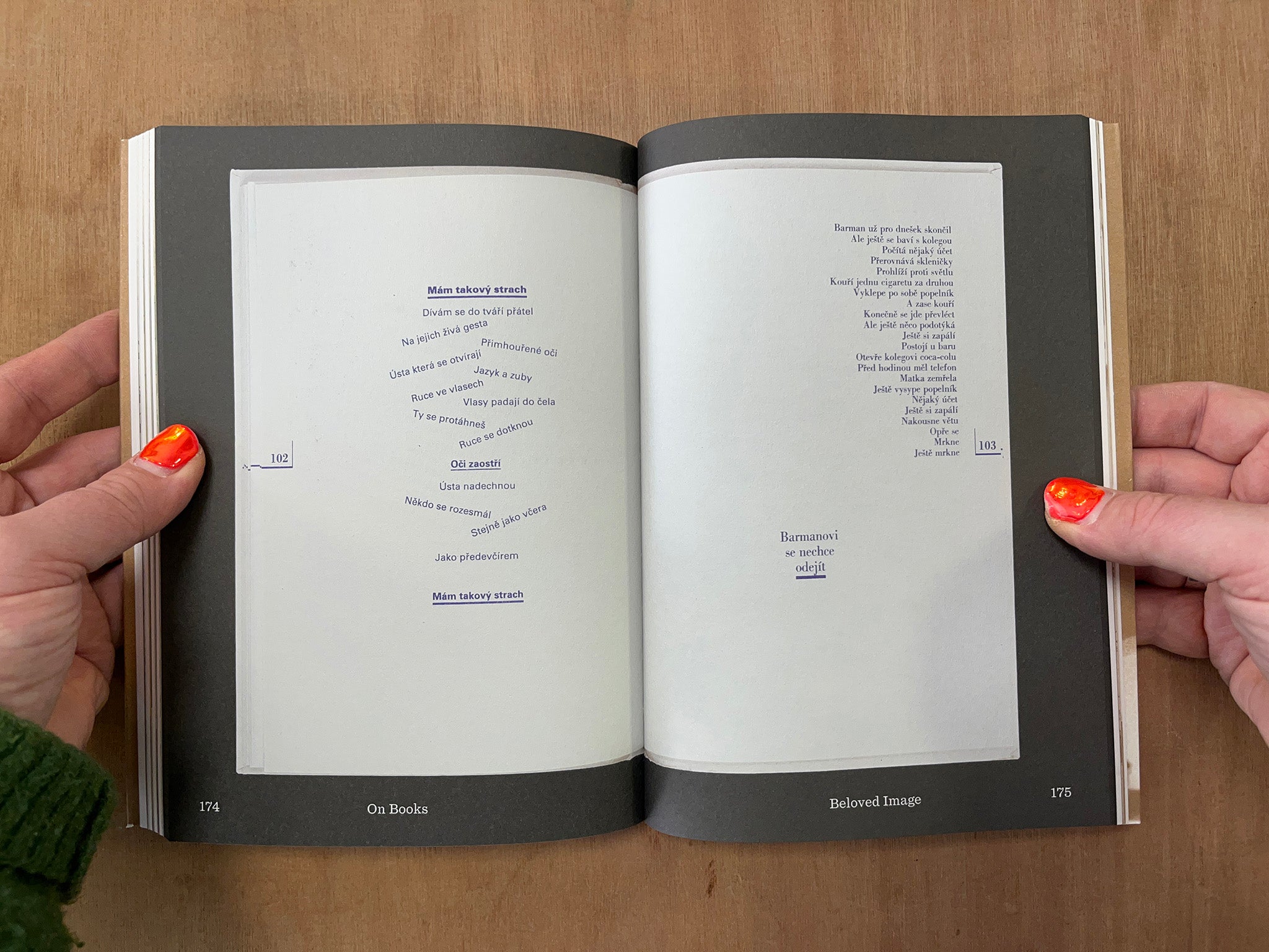 CLARA ISTLEROVÁ: A LIFE AMONG LETTERS by Anezka Minaríková (Ed.)