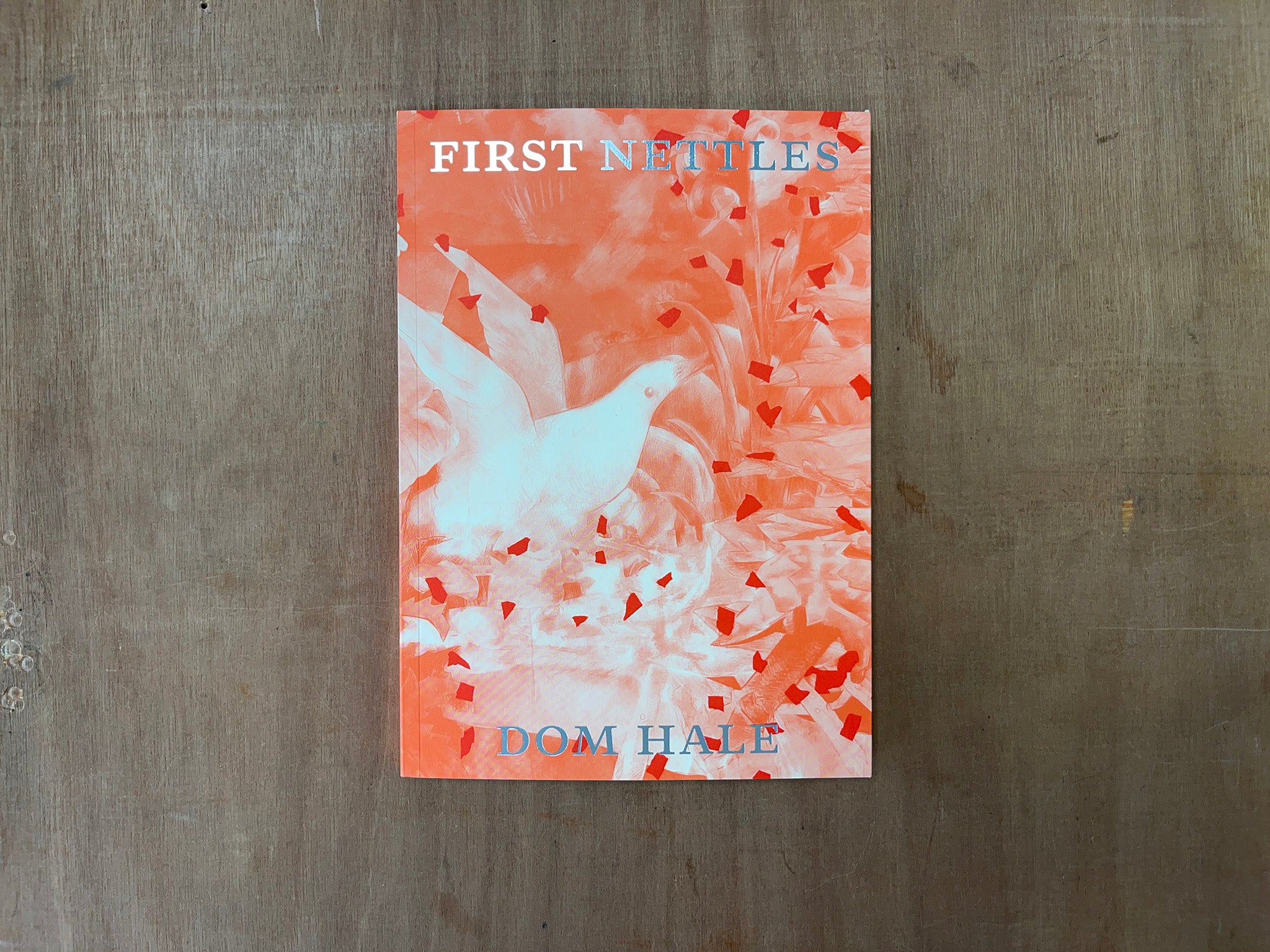FIRST NETTLES by Dom Hale