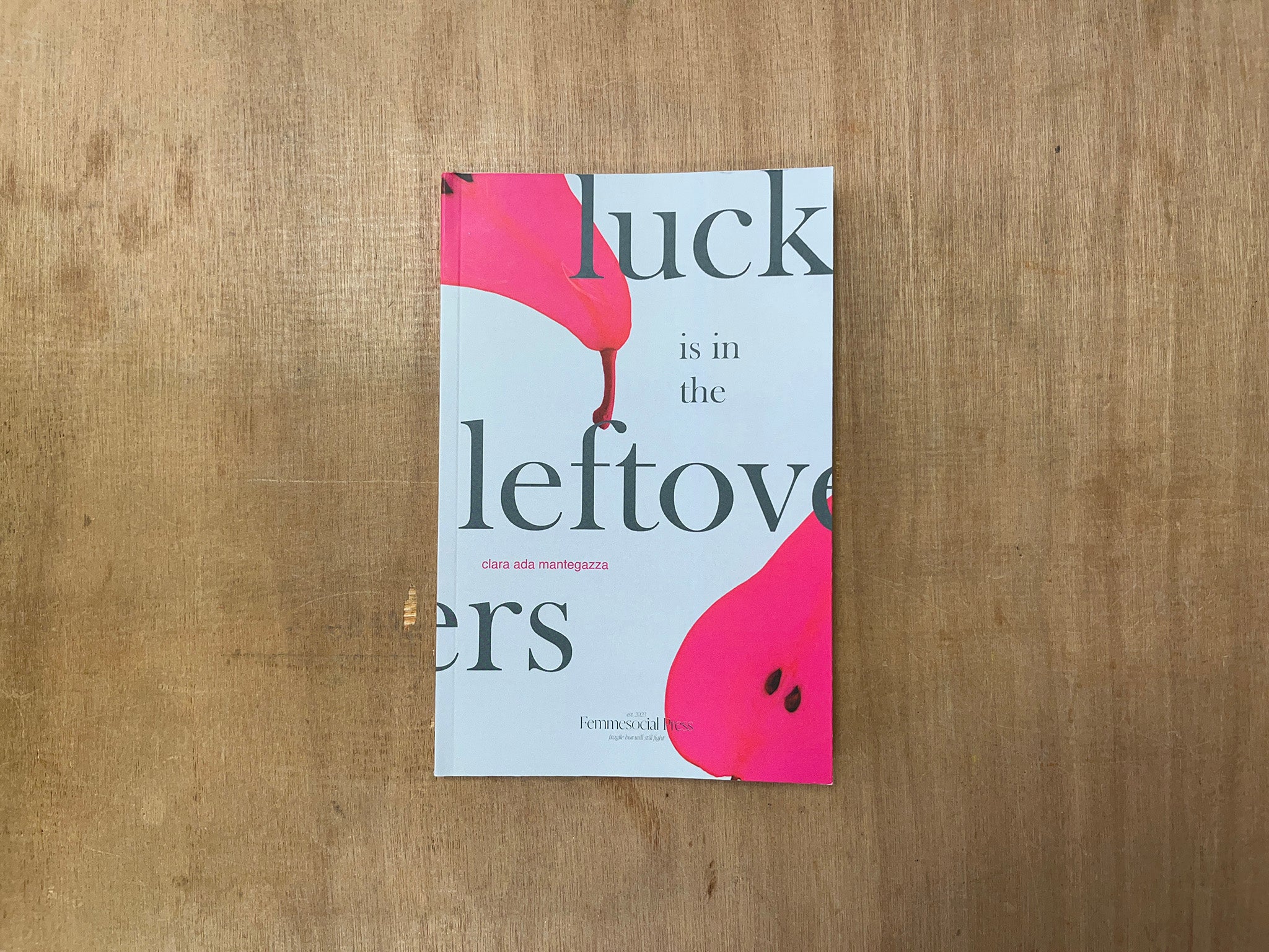 LUCK IS IN THE LEFTOVERS by Clara Ada Mantegazza