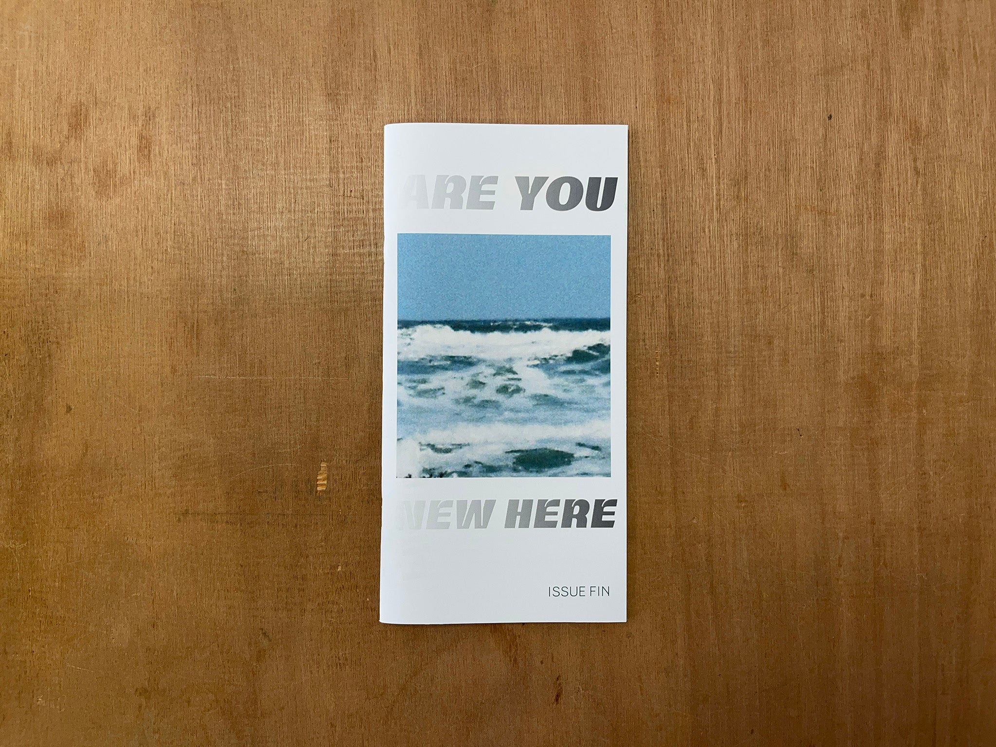 ARE YOU NEW HERE by Various Artists