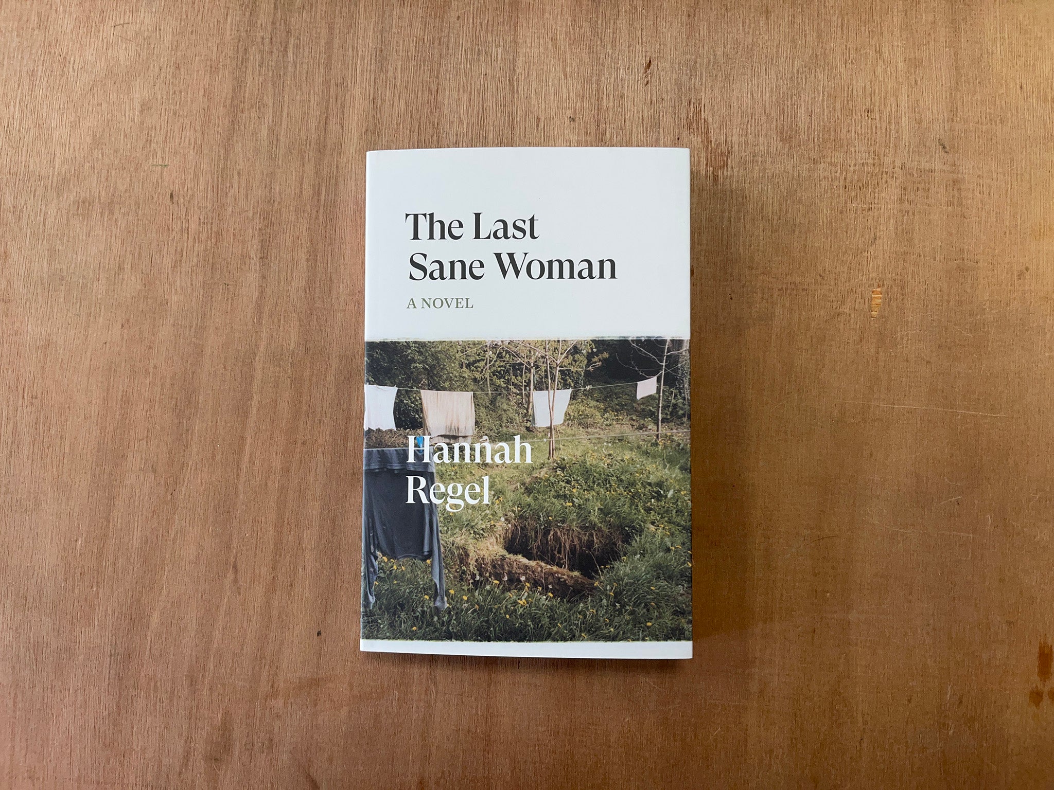 THE LAST SANE WOMAN by Hannah Regel