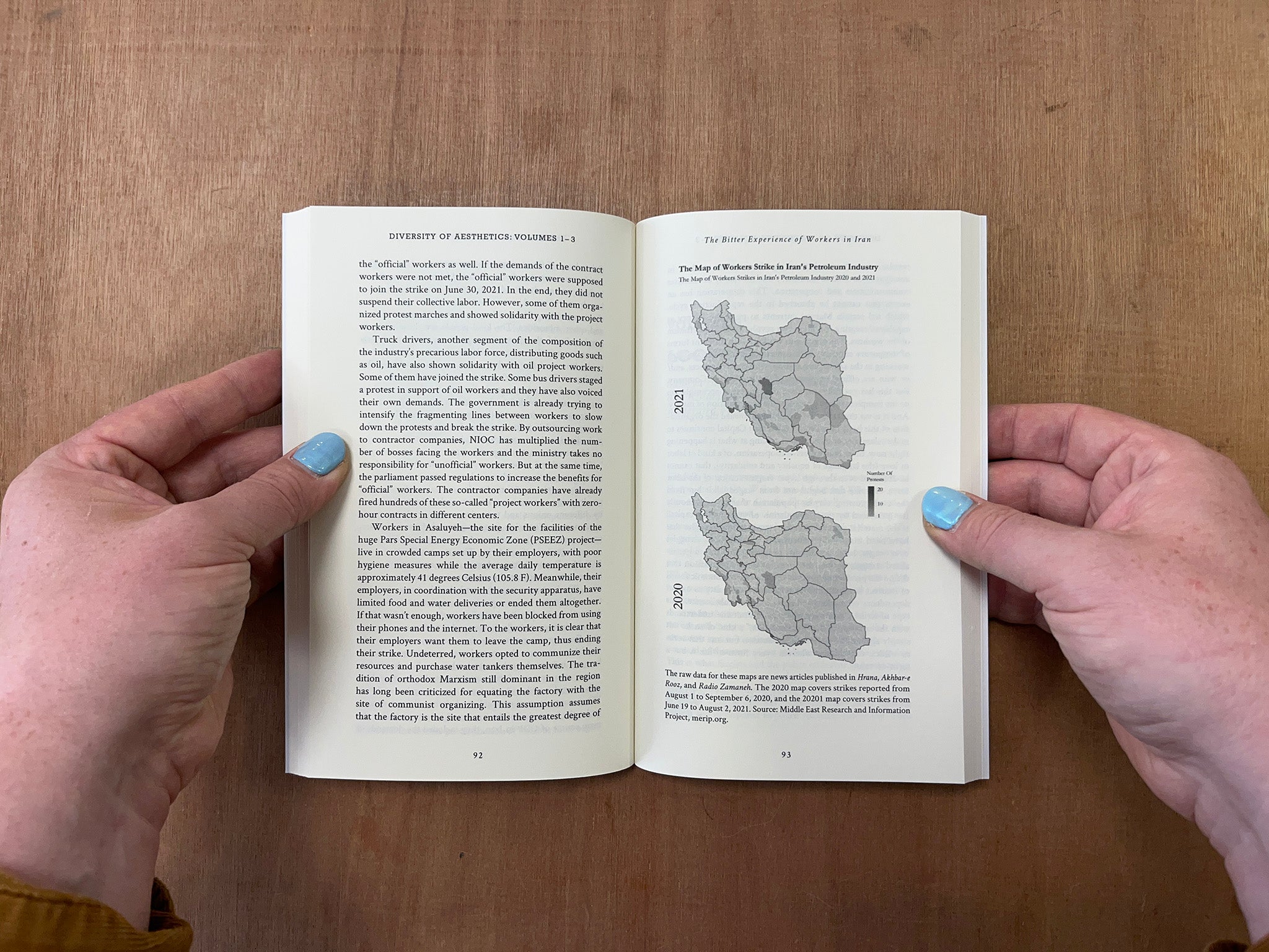 DIVERSITY OF AESTHETICS by Andreas Petrossiants & Jose Rosales (Eds.)