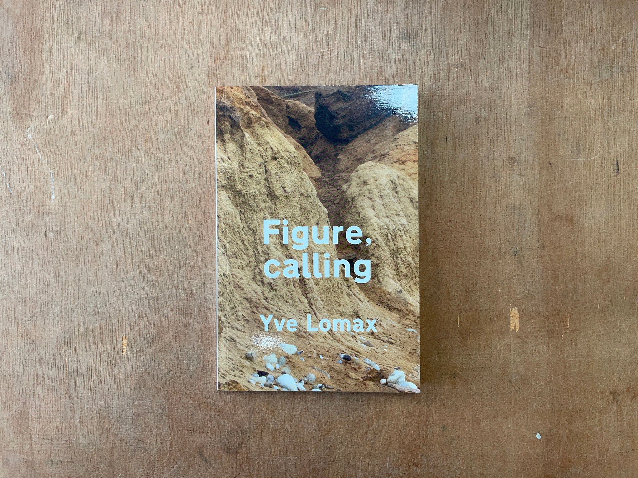 FIGURE, CALLING by Yve Lomax Good Press — good books & more