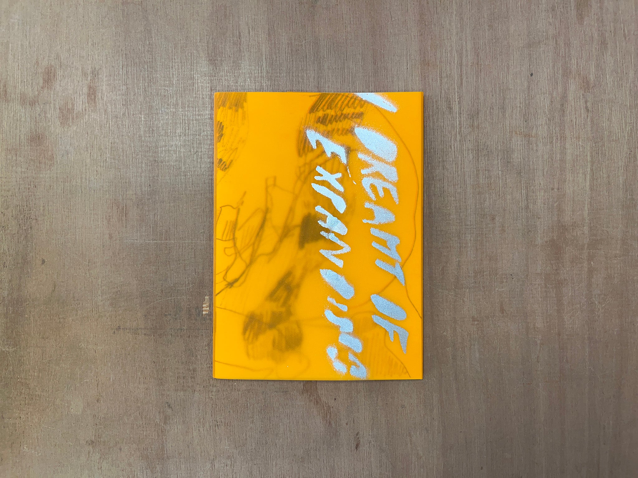 I DREAMT OF EXPANDING by Roxy van Bemmel