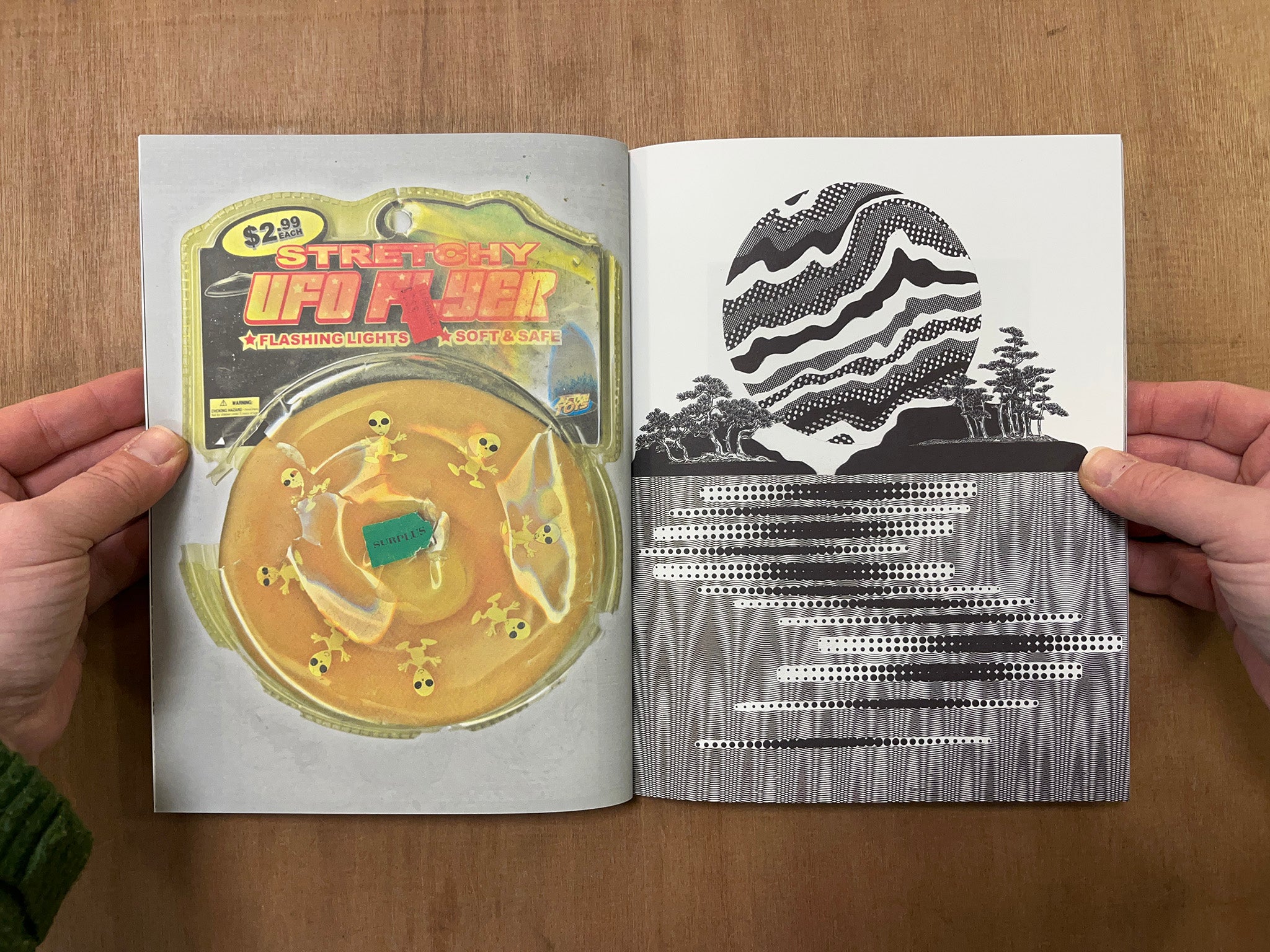 THE COLLECTED SERIES ALICIA'S KLASSIC KOOL SHOPPE by Alicia Nauta