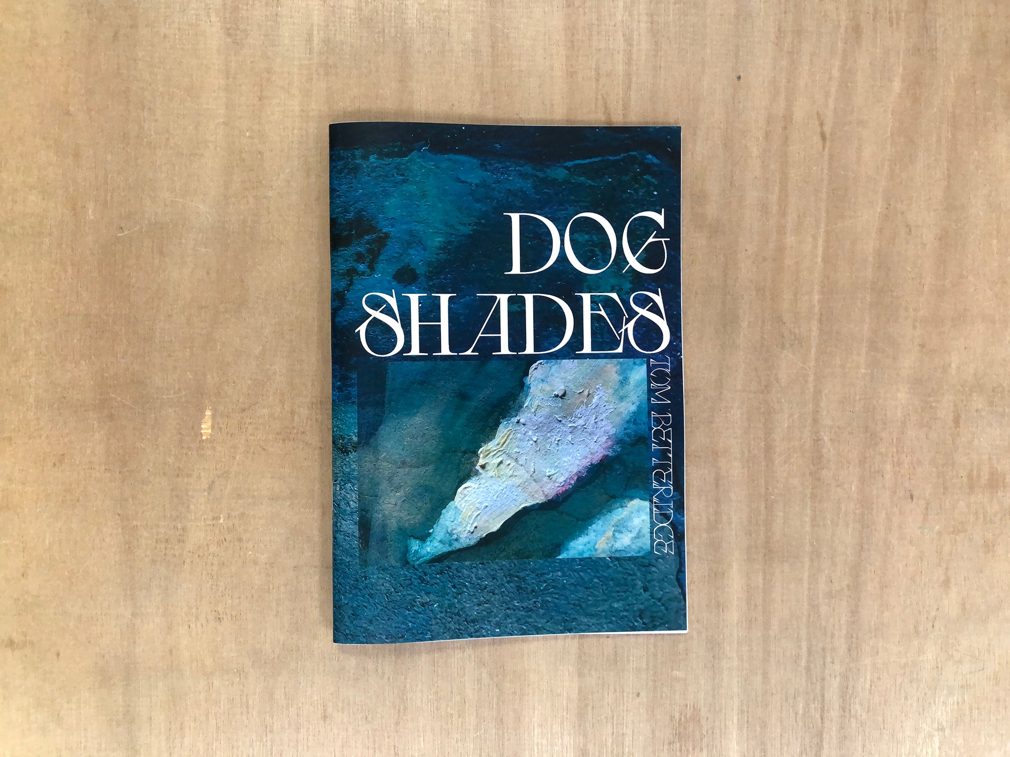 DOG SHADES by Tom Betteridge