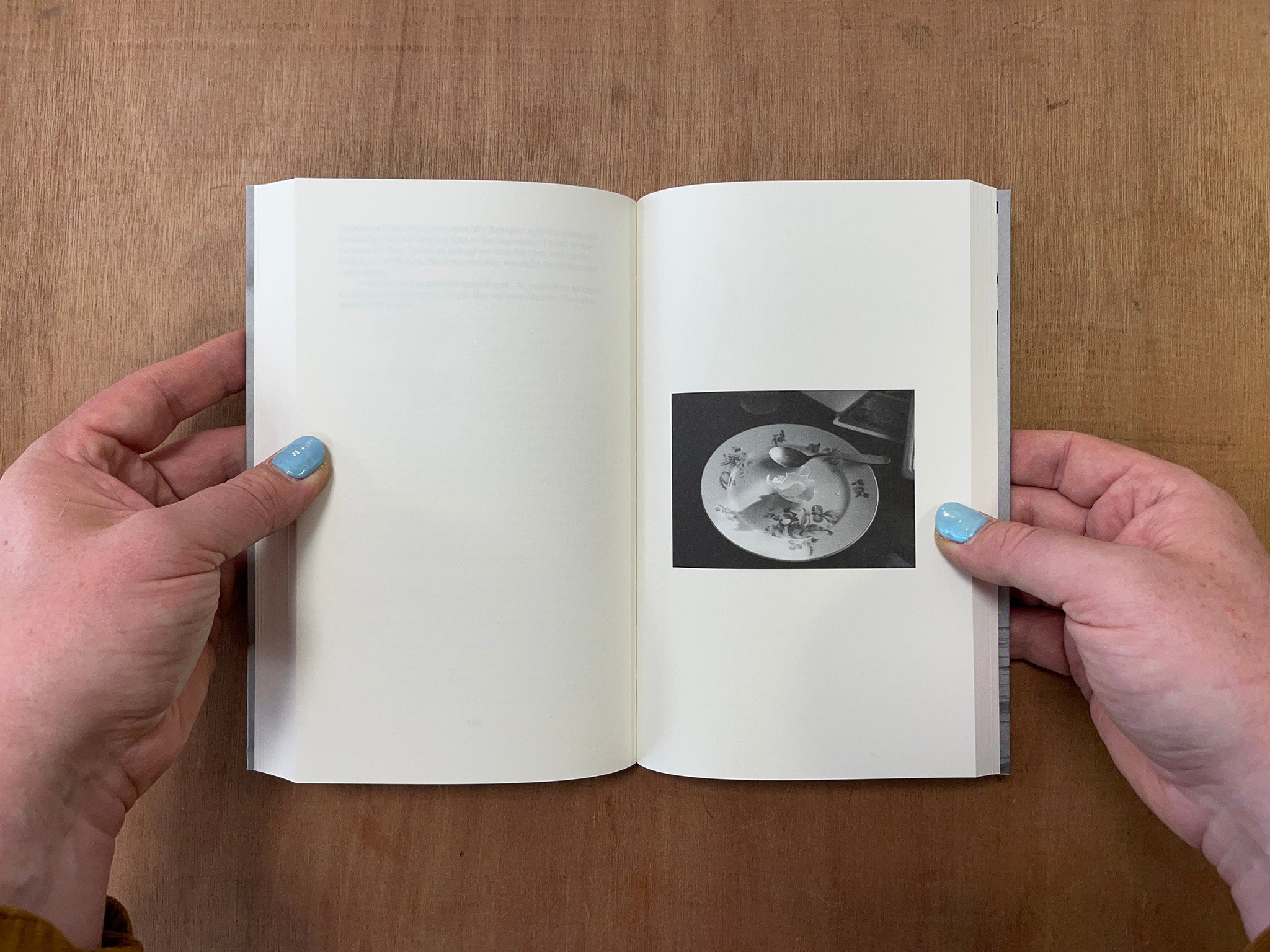 DIARY OF AN ENDING by Lina Scheynius