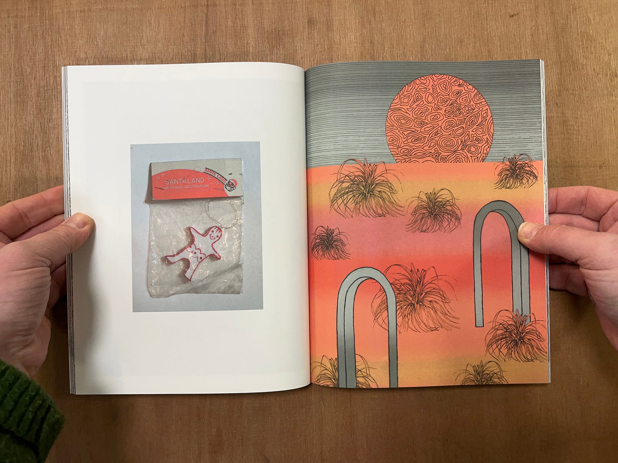 THE COLLECTED SERIES ALICIA'S KLASSIC KOOL SHOPPE by Alicia Nauta