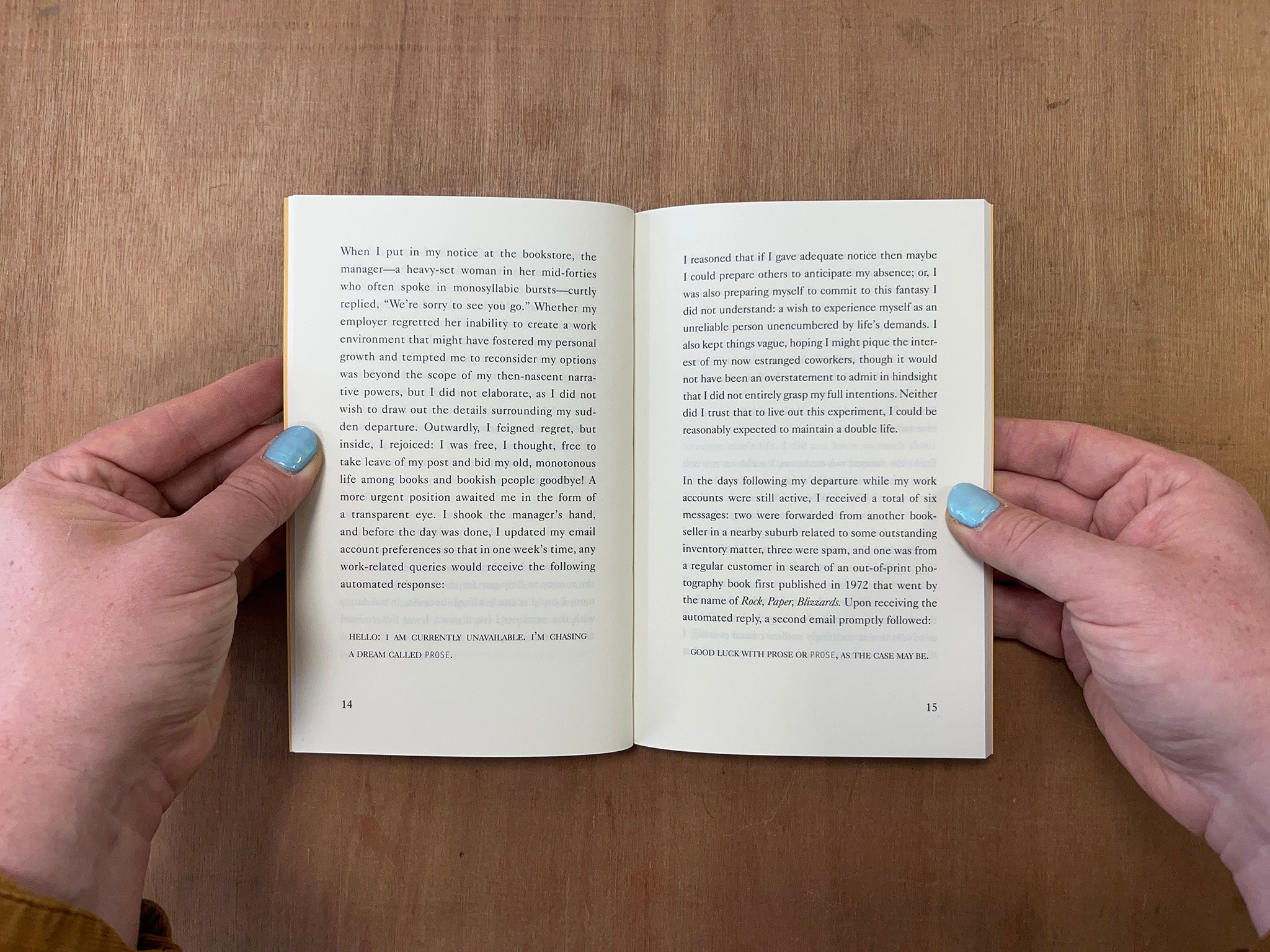THE TIME OF THE NOVEL by Lara Mimosa Montes