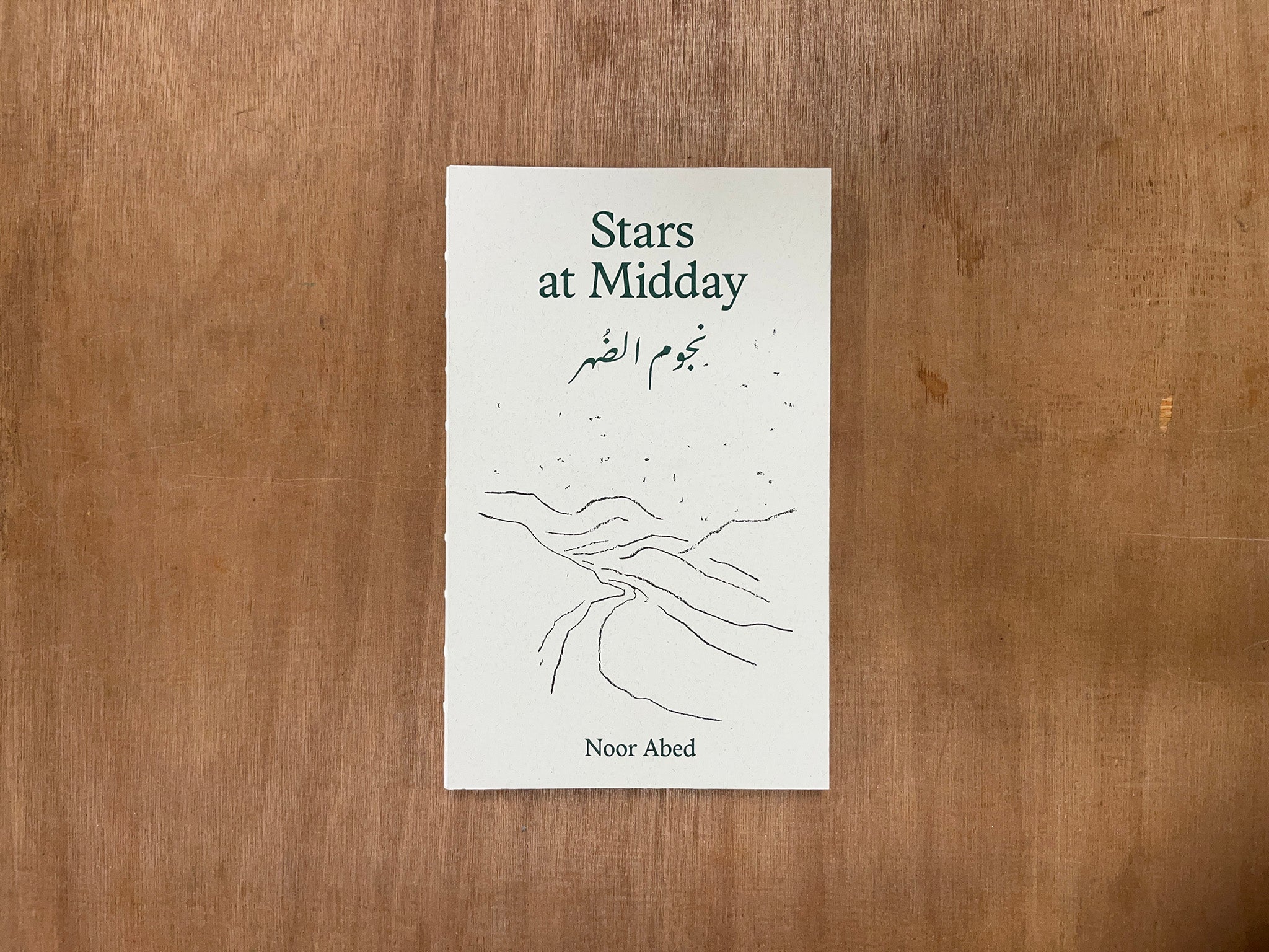 STARS AT MIDDAY –نجوم الضُهر by Noor Abed