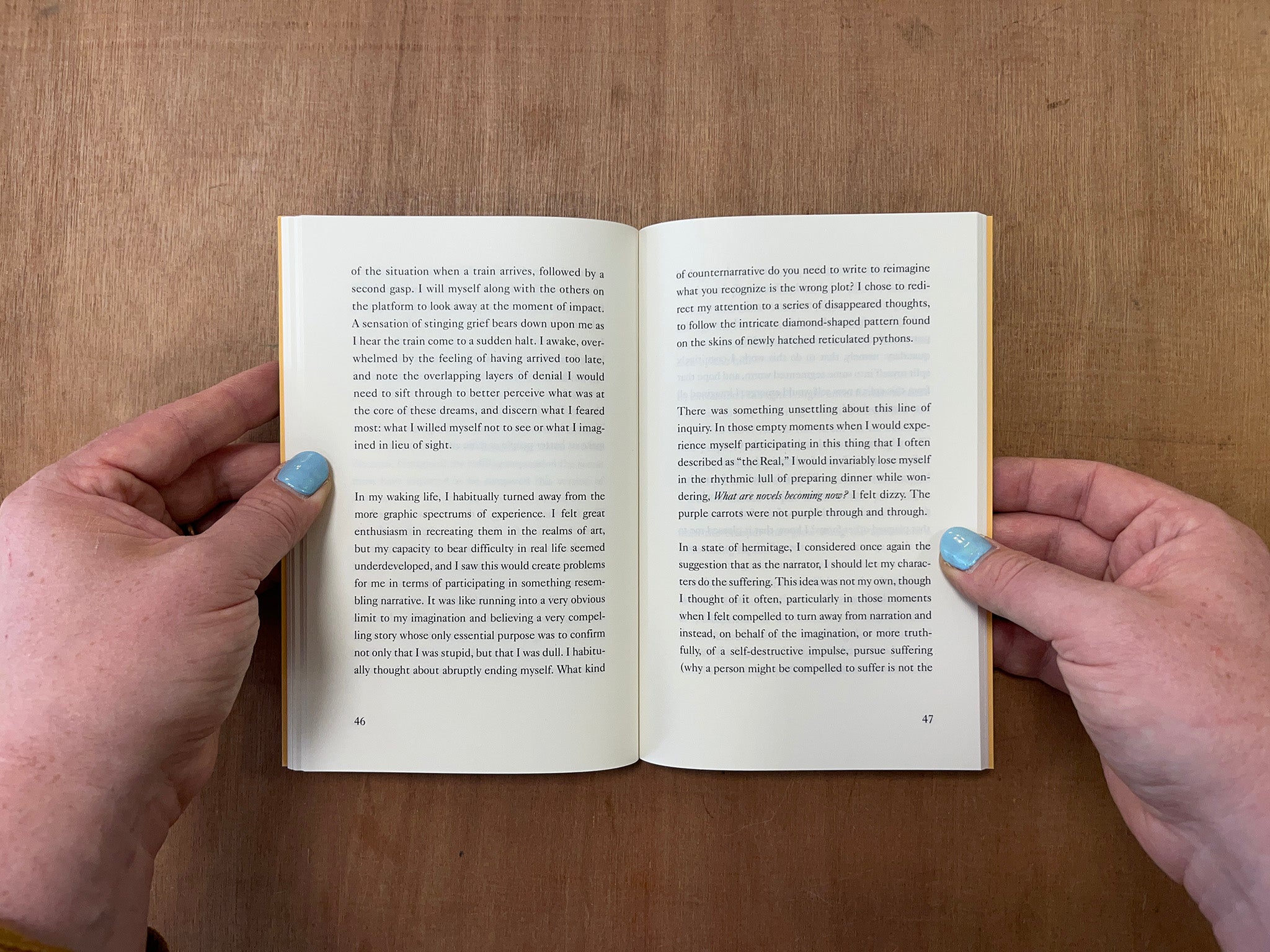THE TIME OF THE NOVEL by Lara Mimosa Montes
